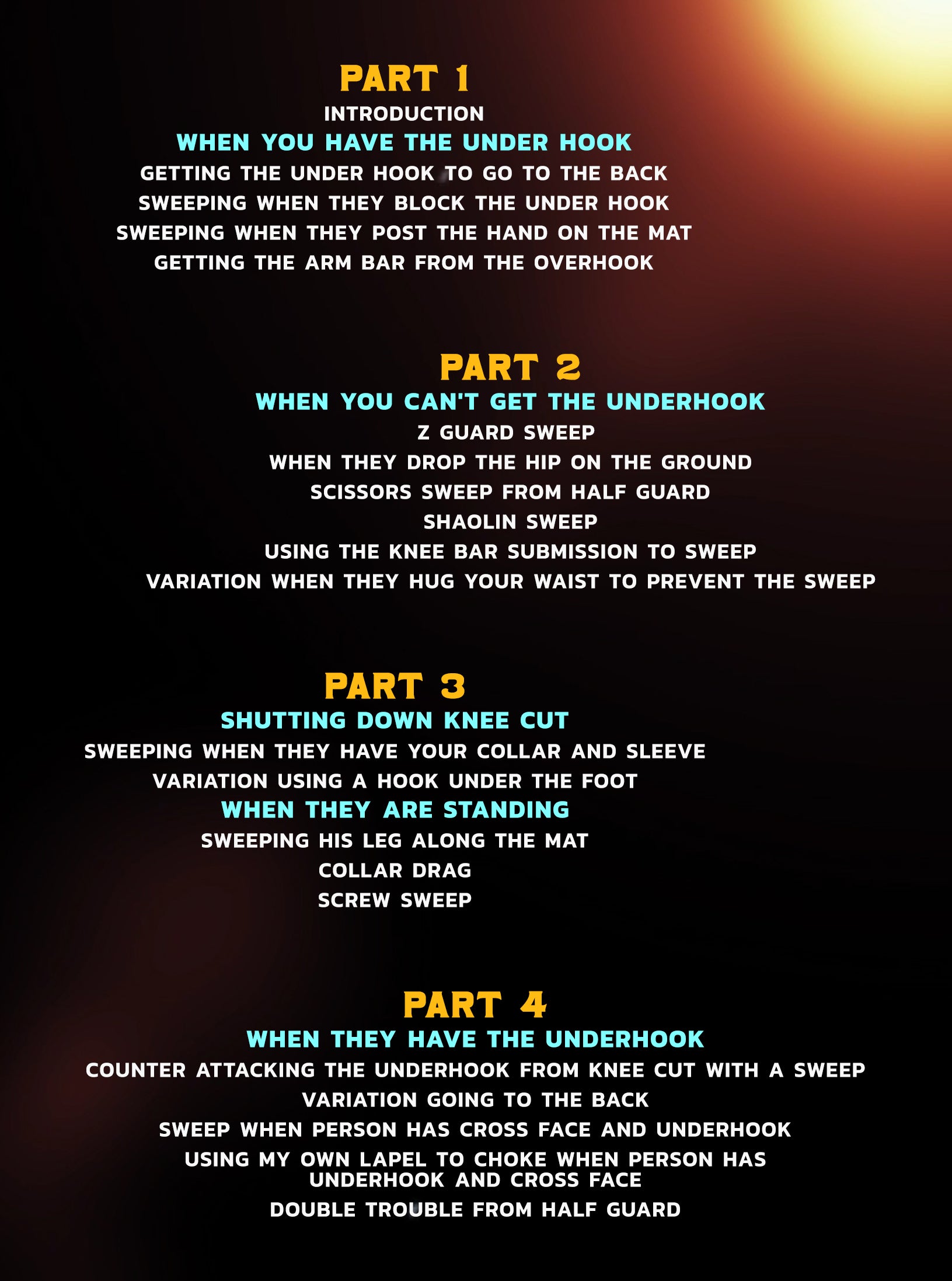 The Pitel Half Guard by Bernardo Pitel image 2