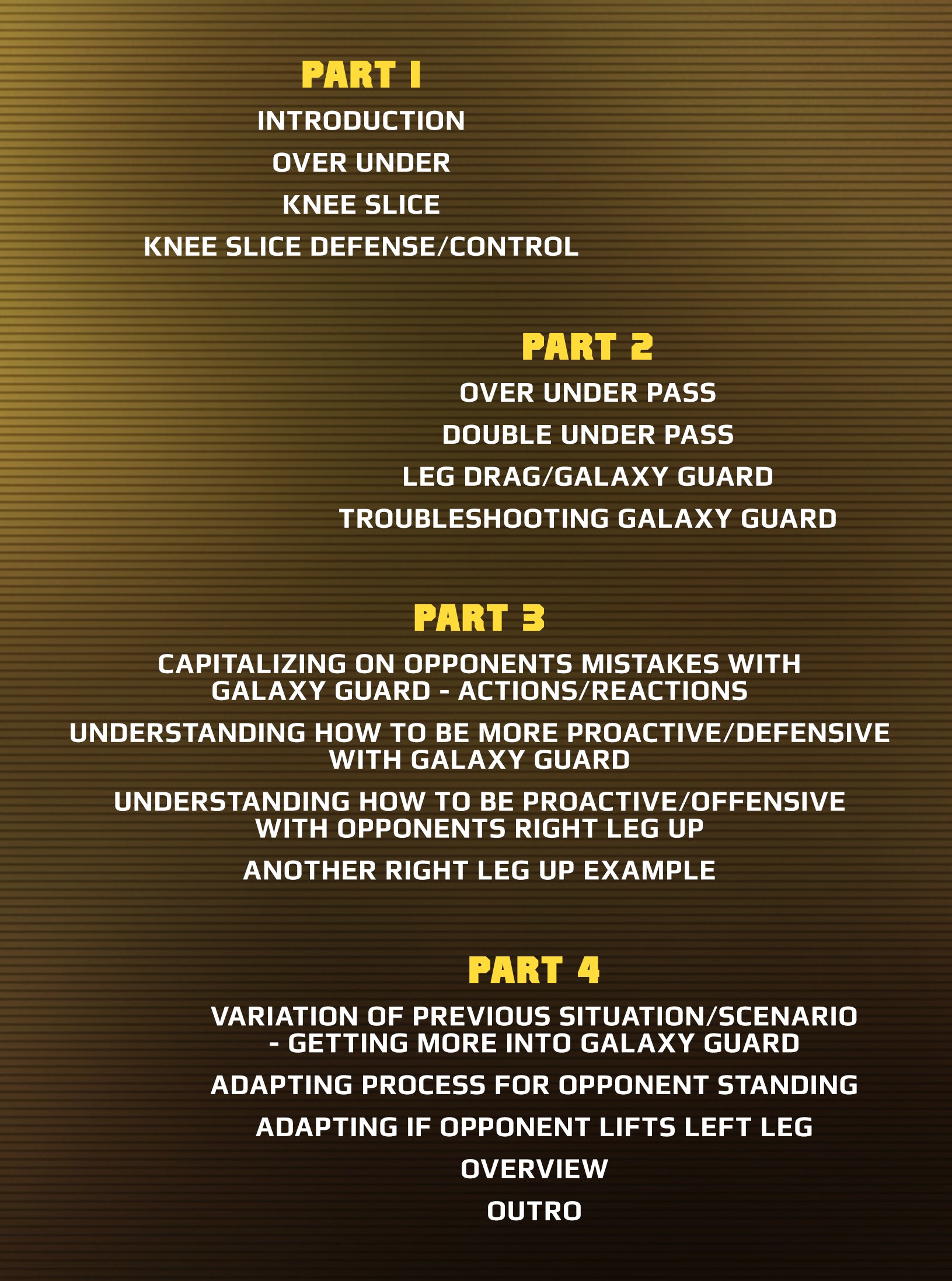 Mastering The Lapel Guard Volume 1: Introduction To The Galaxy Guard by Braulio Estima image 2