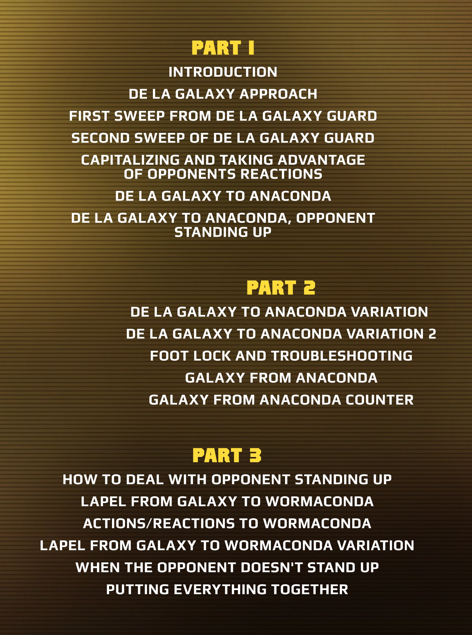 Mastering The Lapel Guard Volume 2: The Galaxy Guard Intermediate by Braulio Estima image 2