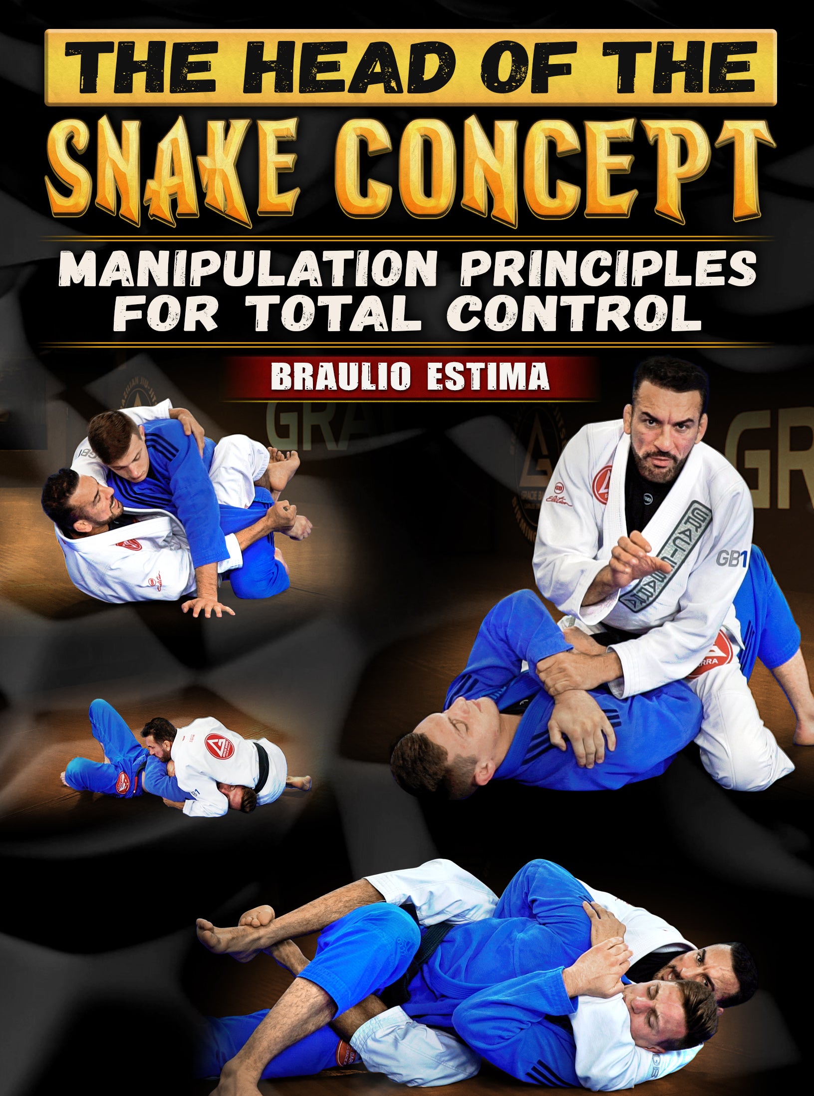Head Of The Snake Concept: Manipulation Principles For Total Control by Braulio Estima