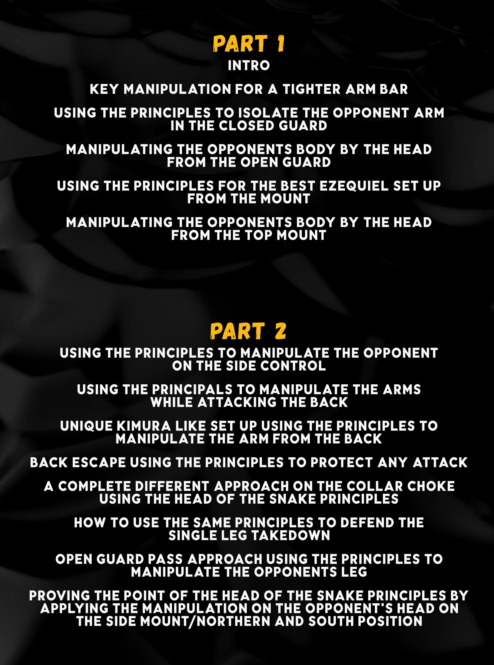 Head Of The Snake Concept: Manipulation Principles For Total Control by Braulio Estima image 2