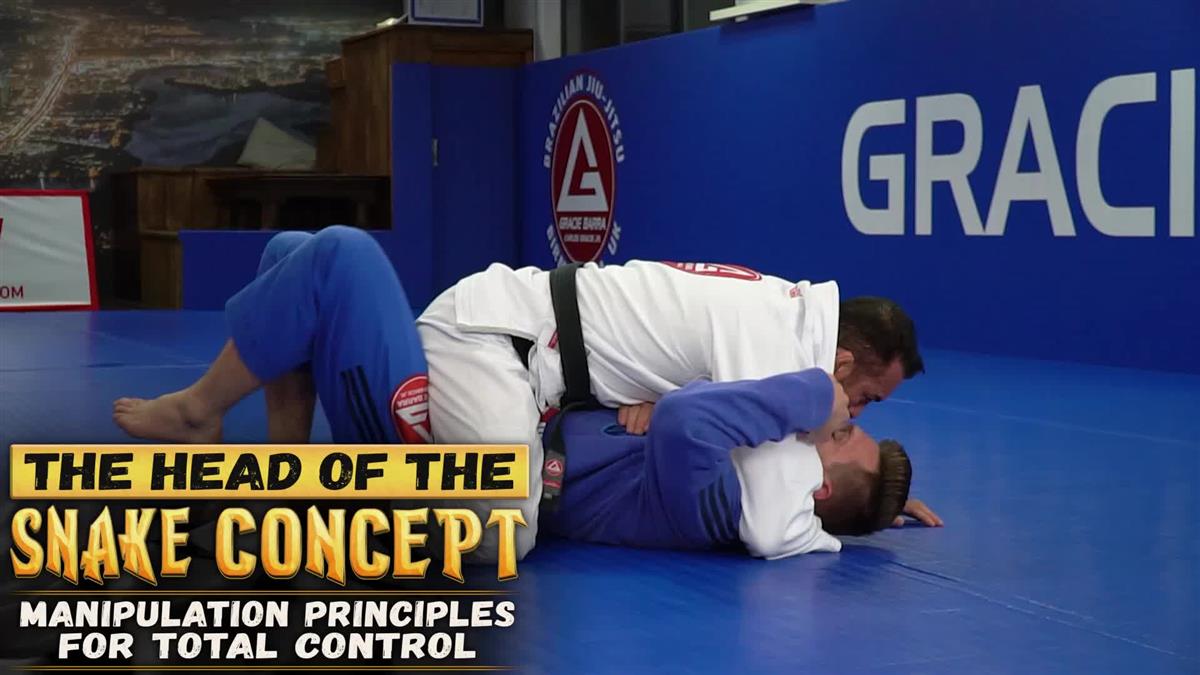 Head Of The Snake Concept: Manipulation Principles For Total Control by Braulio Estima image 3