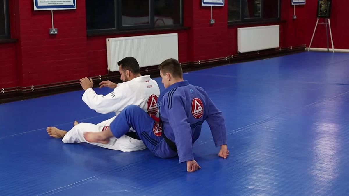 Head Of The Snake Concept: Manipulation Principles For Total Control by Braulio Estima image 4