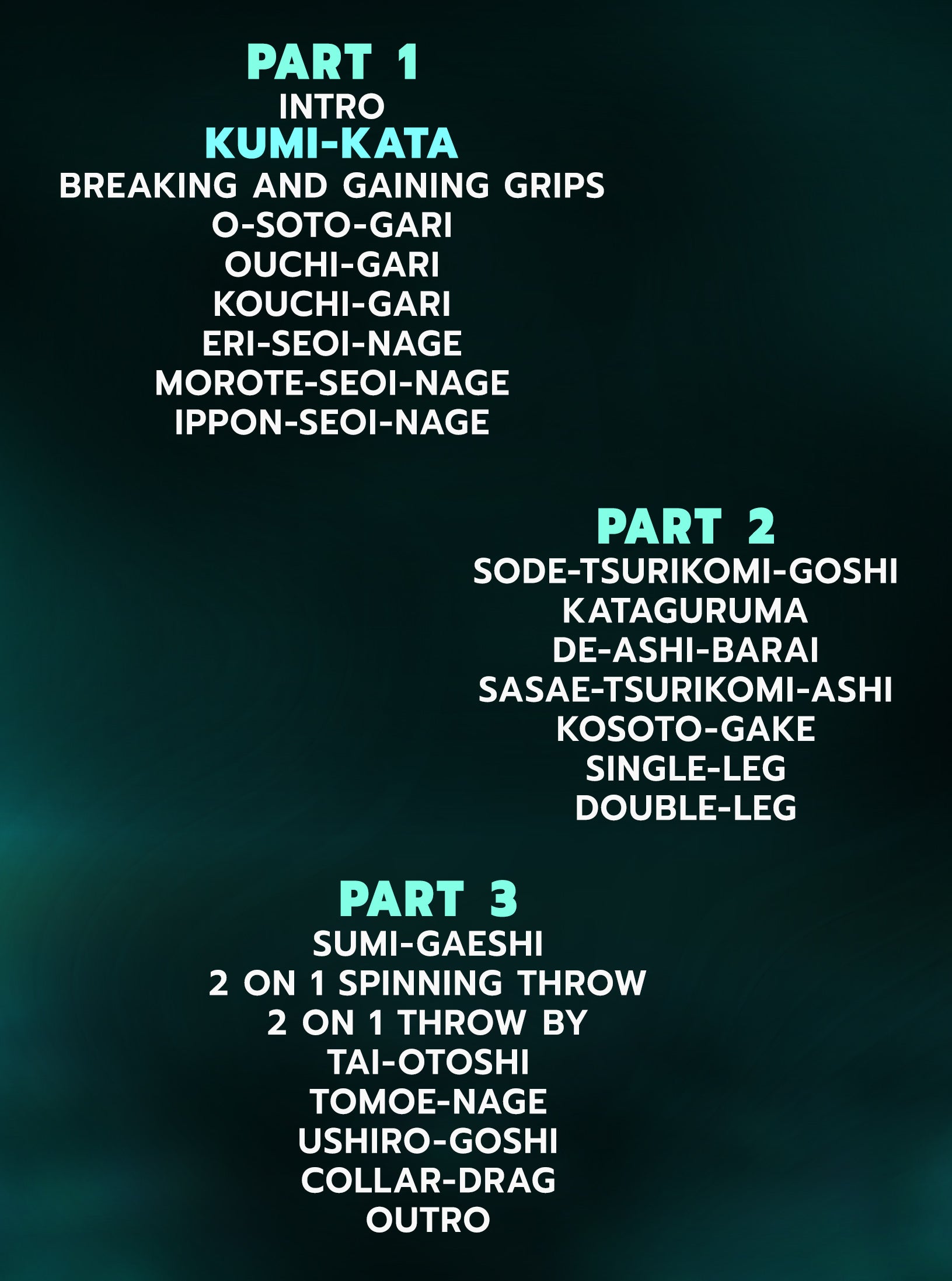 Visible Jiu Jitsu: The Nage Waza System by Bruno Bastos image 2