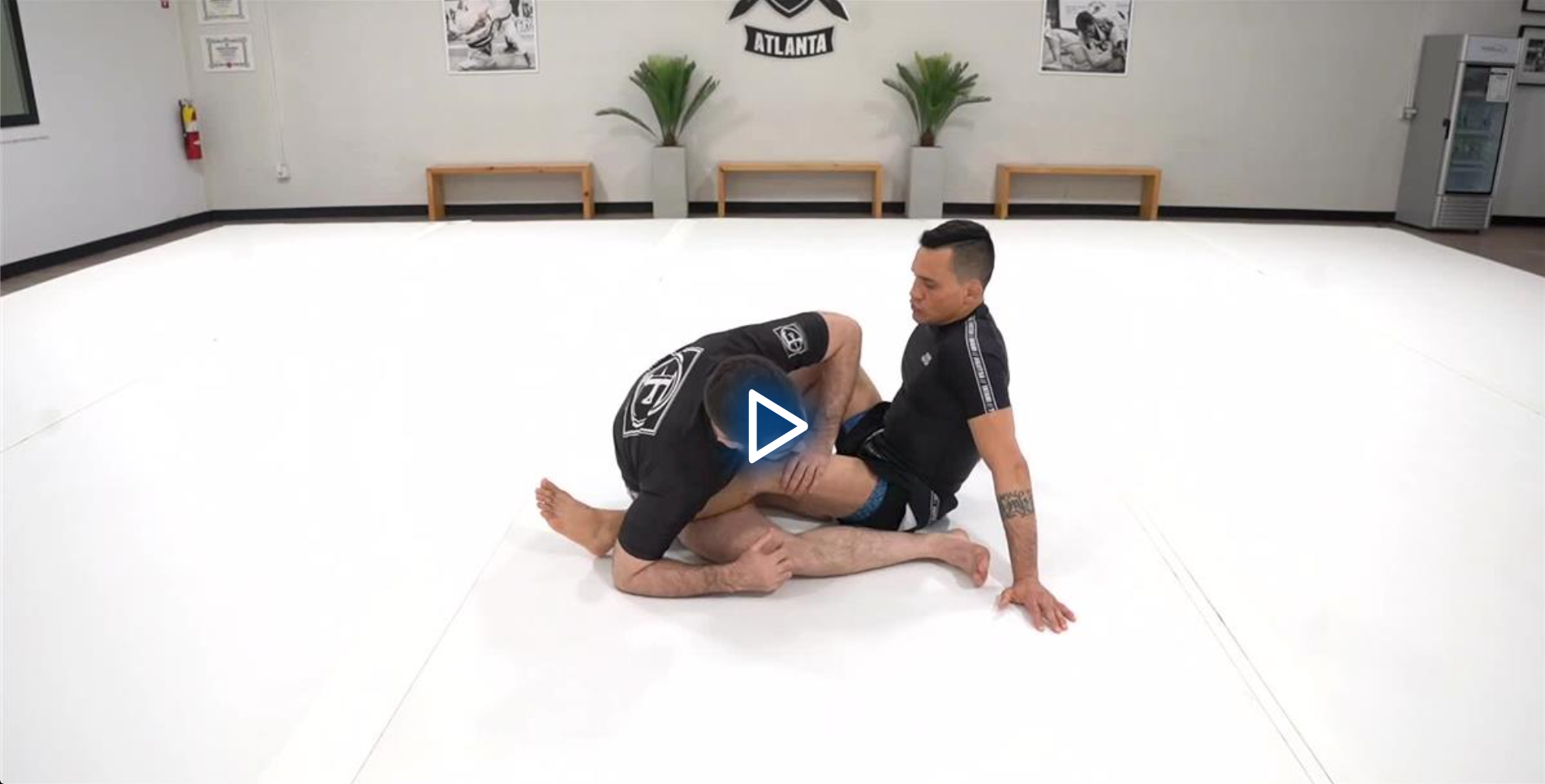 The Open Guard Universe by Bruno Frazatto image 4