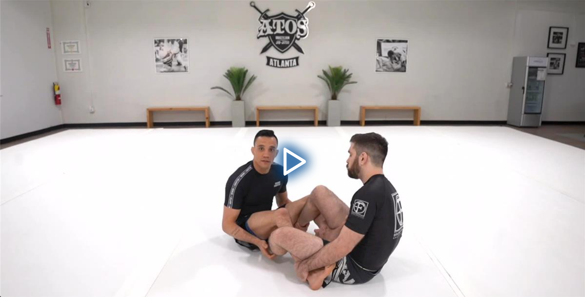 The Open Guard Universe by Bruno Frazatto image 5