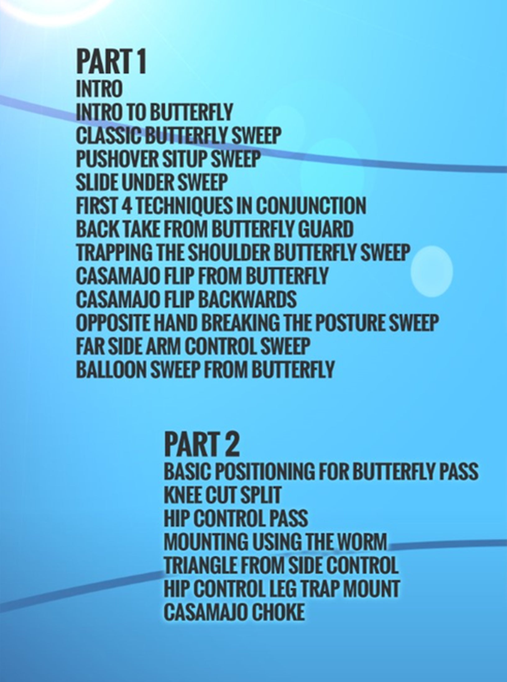 Best of Butterfly Guard by Cesar Casamajo image 2