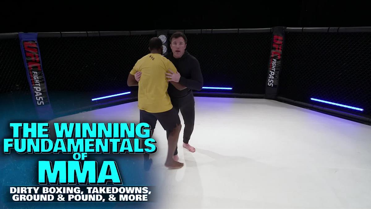 The Winning Fundamentals Of MMA by Chael Sonnen image 3