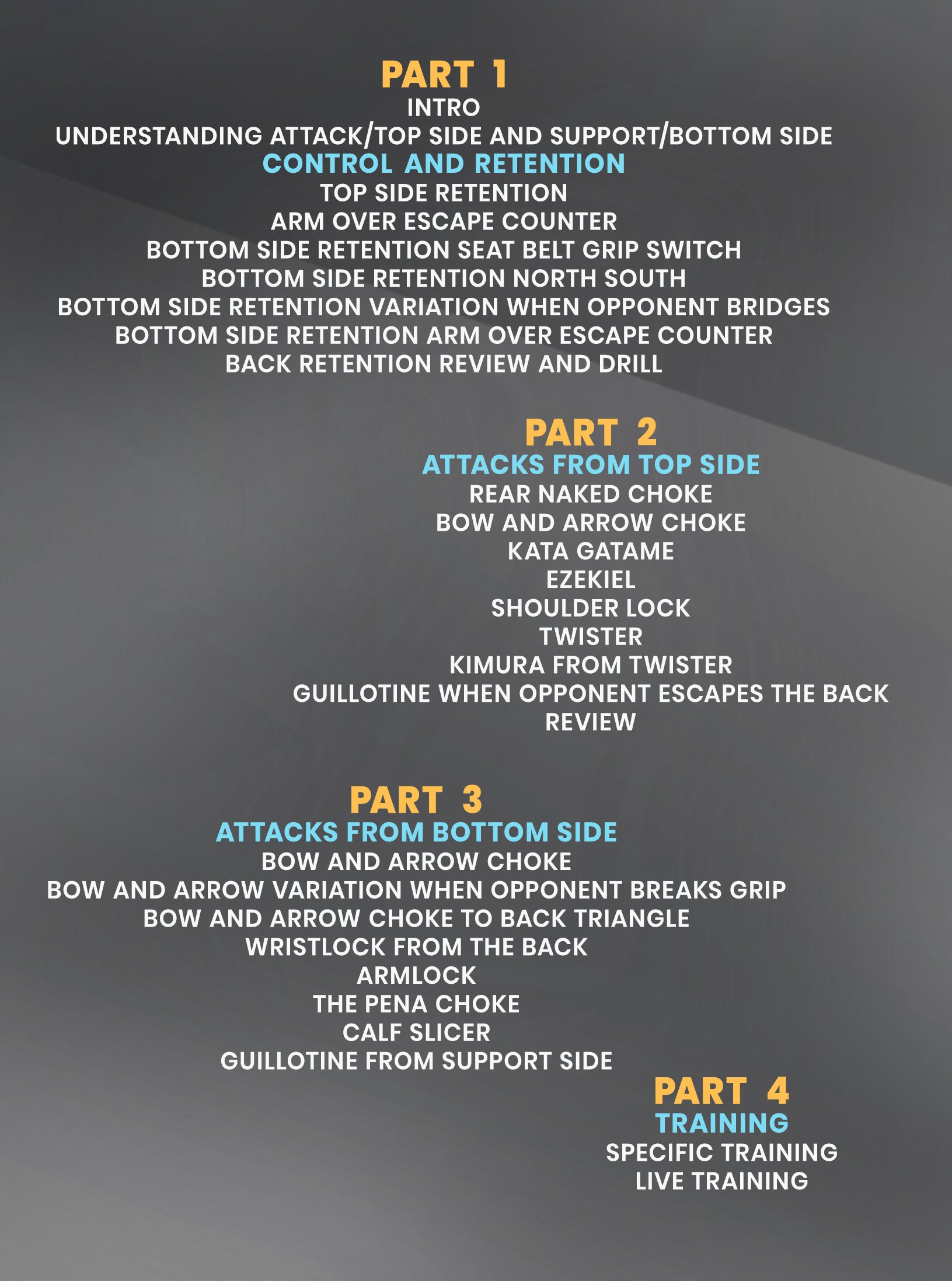 The Pena Back Attack System: Retention, Control, Submissions by Felipe Pena Preguica image 2