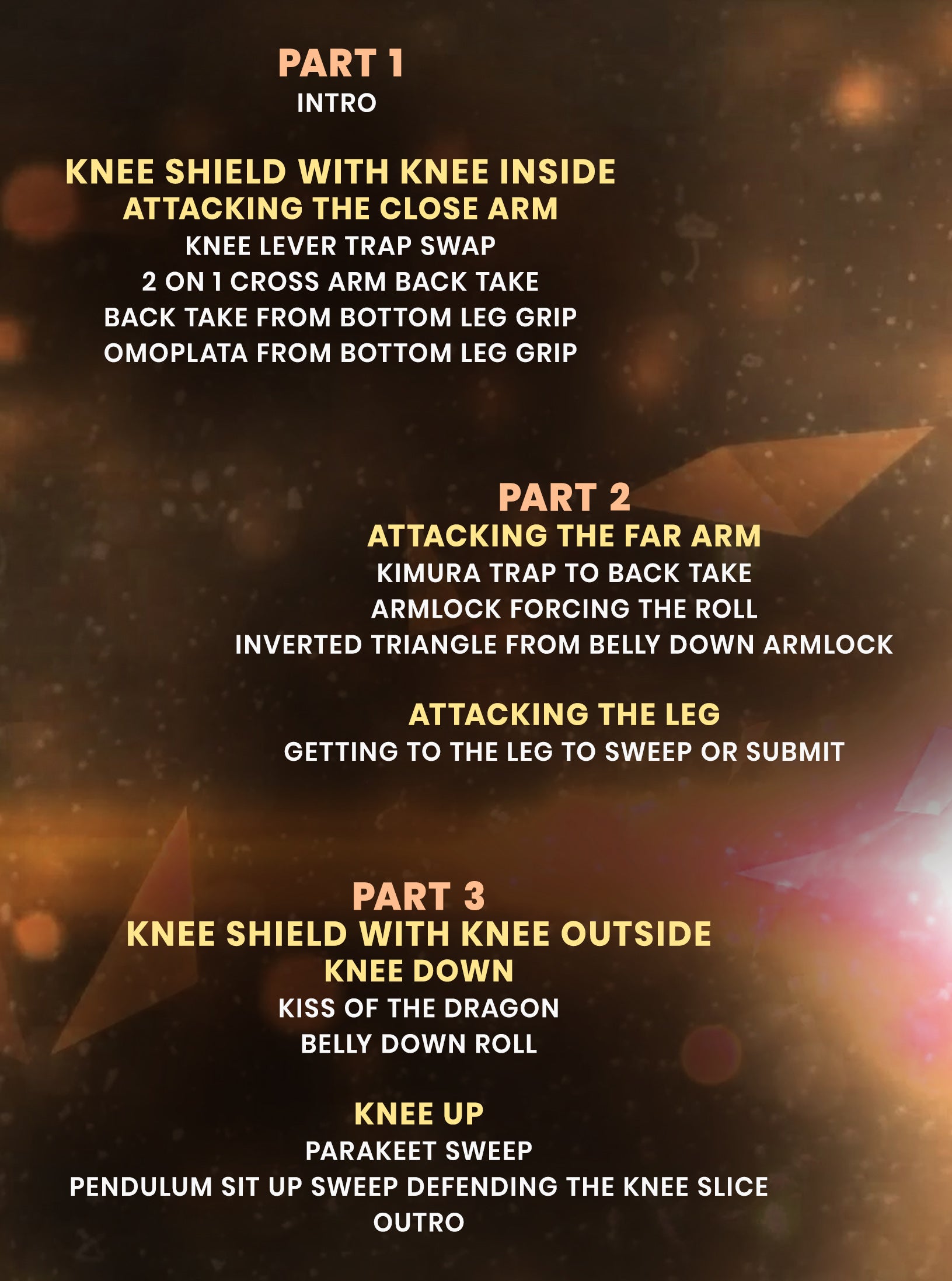 No Gi Knee Shield Guard by Felipe Pena Preguica image 2