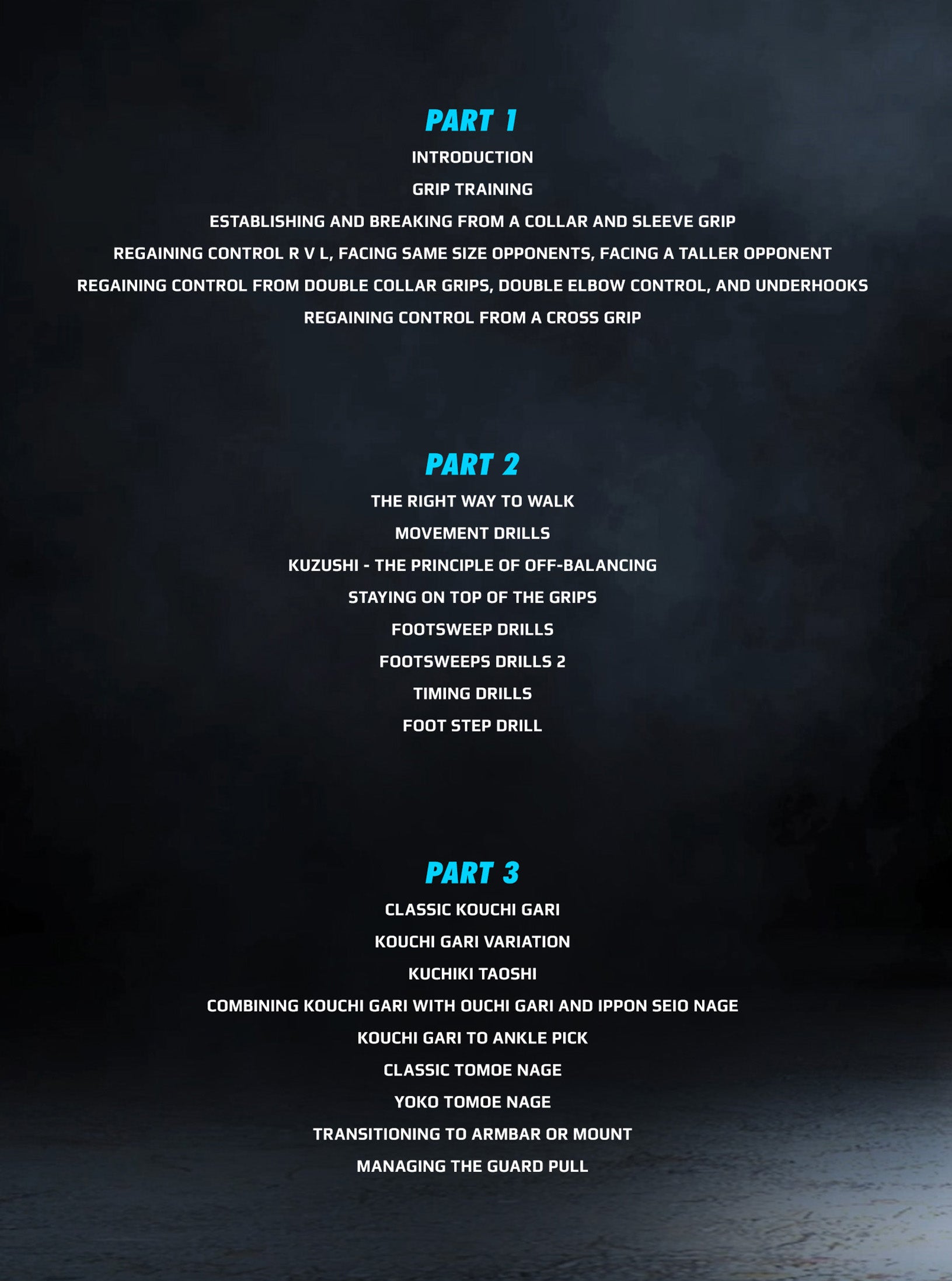 Judo Gripping Systems For BJJ by Fernando Yamasaki image 2