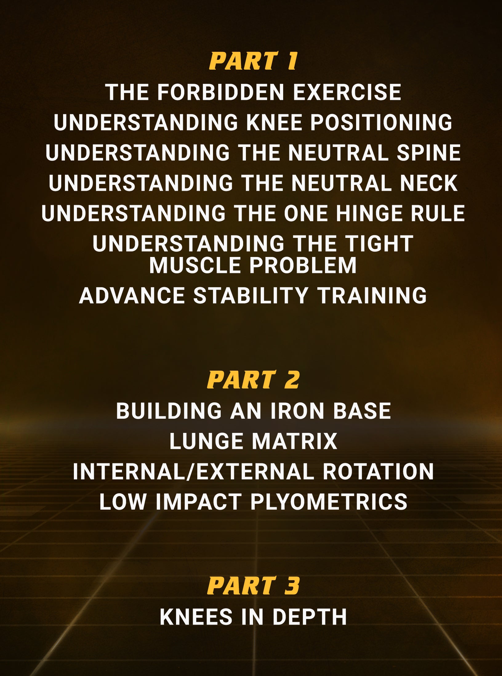 Strong and Stable Knees For Life by Firas Zahabi image 2