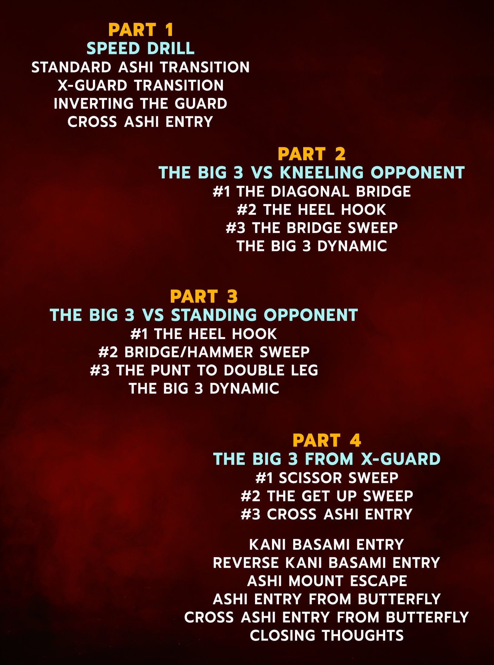 Ashi Garami (Leg Entanglements) Made Easy by Firas Zahabi image 2