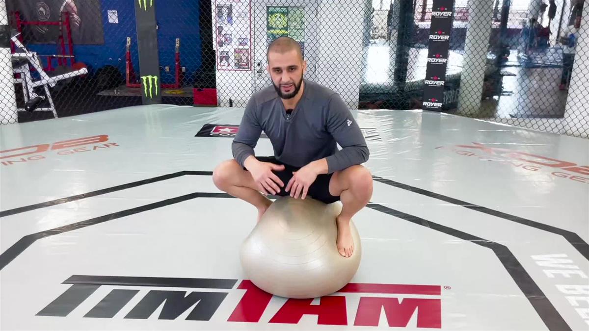 Strong and Stable Knees For Life by Firas Zahabi image 4