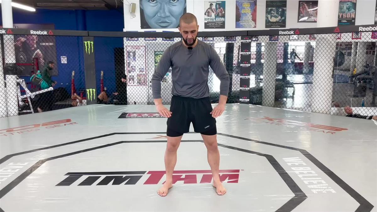 Strong and Stable Knees For Life by Firas Zahabi image 5