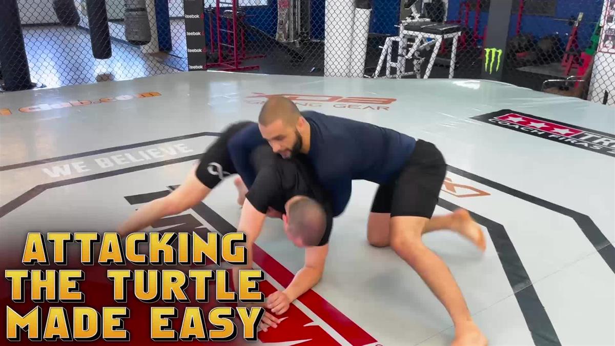 Attacking the Turtle Made Easy by Firas Zahabi image 3