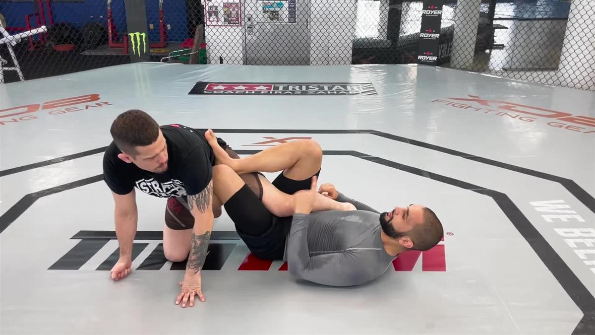 Ashi Garami (Leg Entanglements) Made Easy by Firas Zahabi image 5