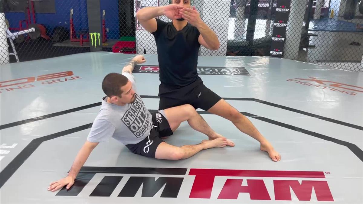 Guard Passing Made Easy by Firas Zahabi image 4