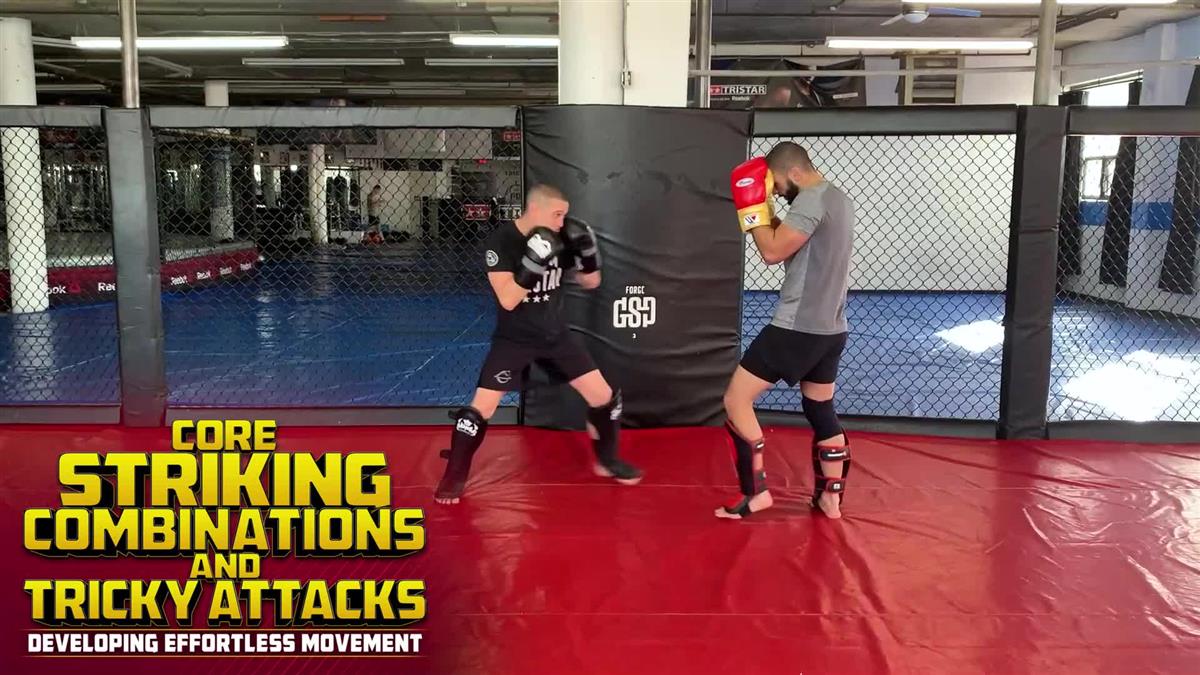 Core Striking Combinations and Tricky Attacks by Firas Zahabi image 3