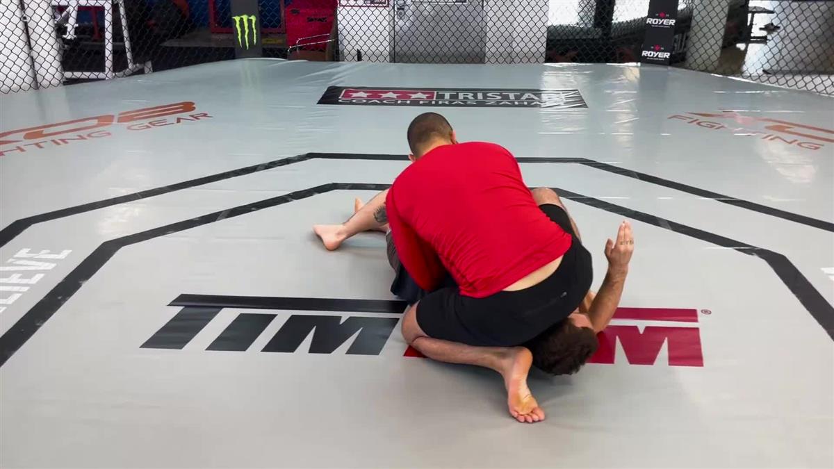 Side Control Made Easy by Firas Zahabi image 5