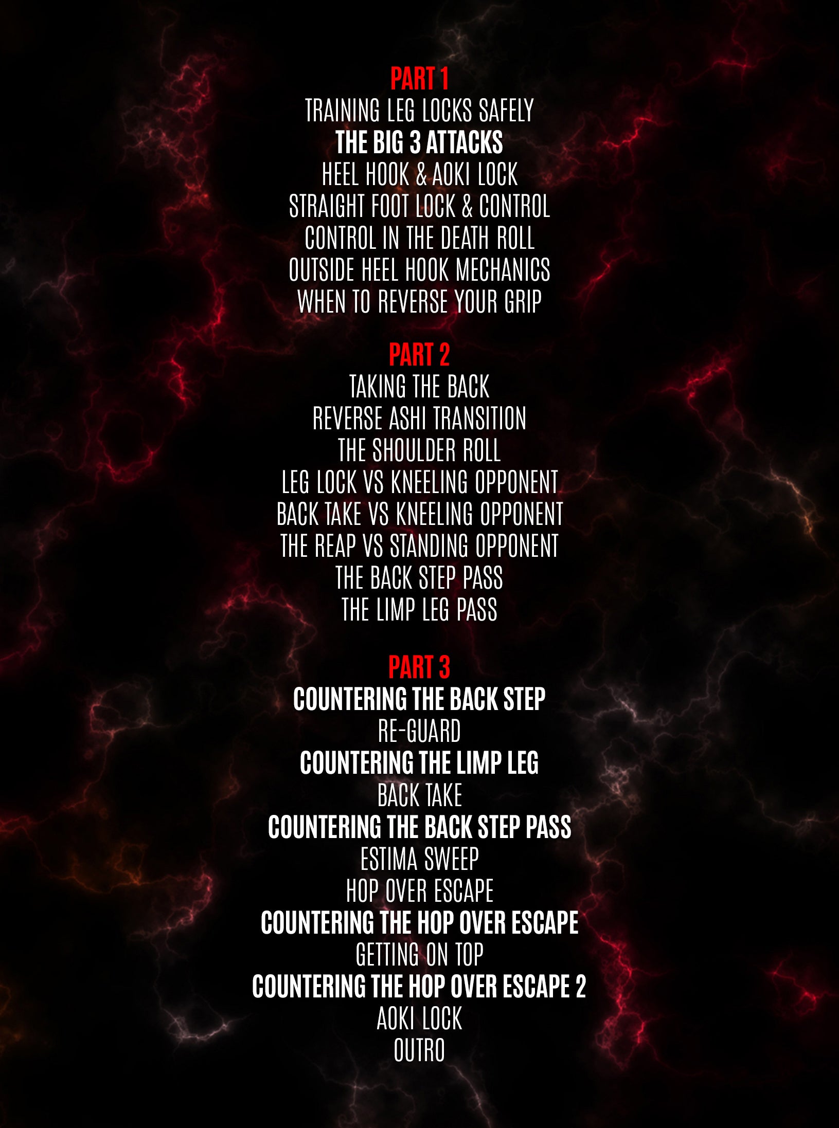 Outside Ashi Garami Made Simple by Firas Zahabi image 2