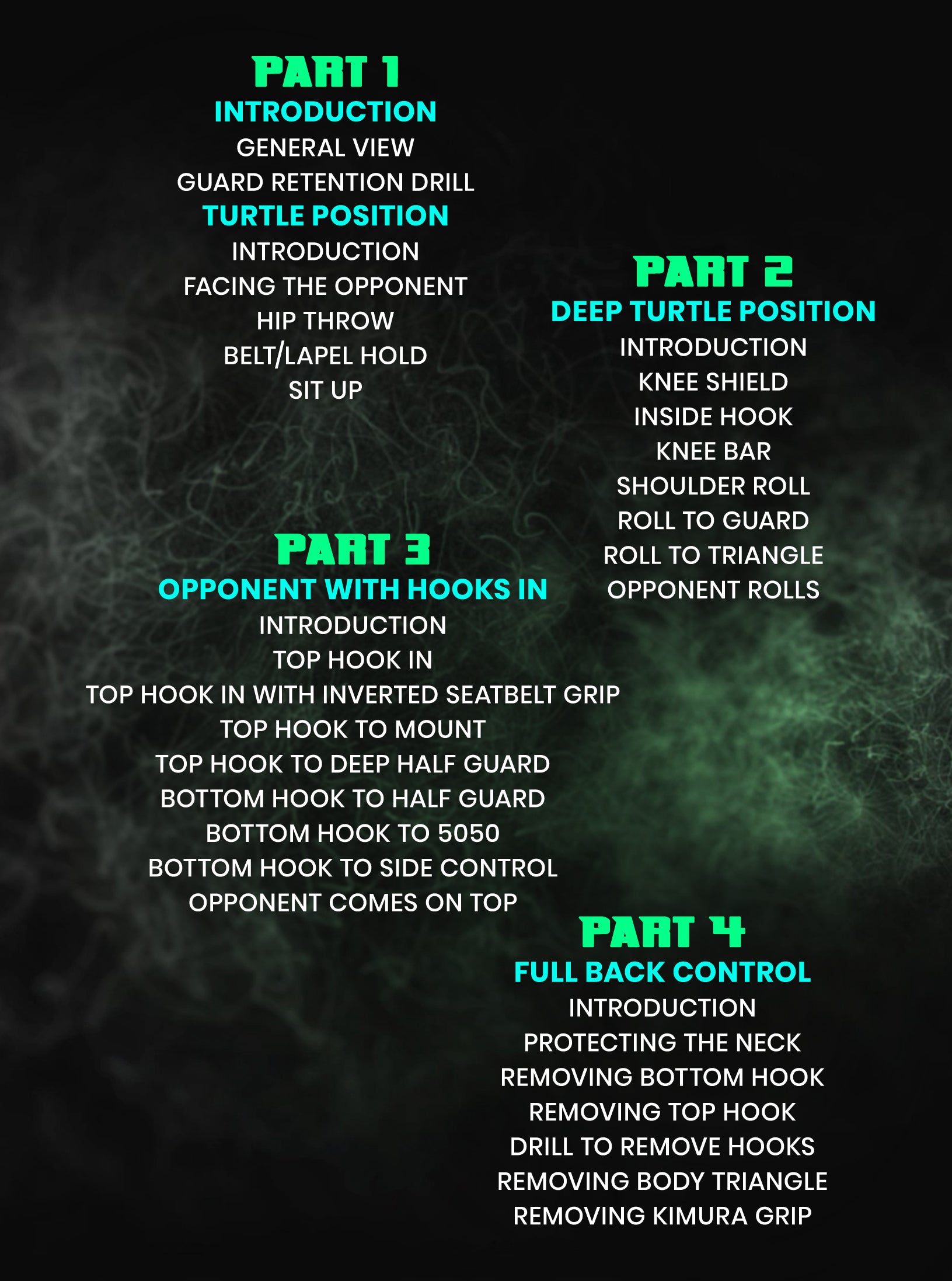 Bulletproof Back Escapes: The Deep Turtle Position by Gabriel Almeida image 2