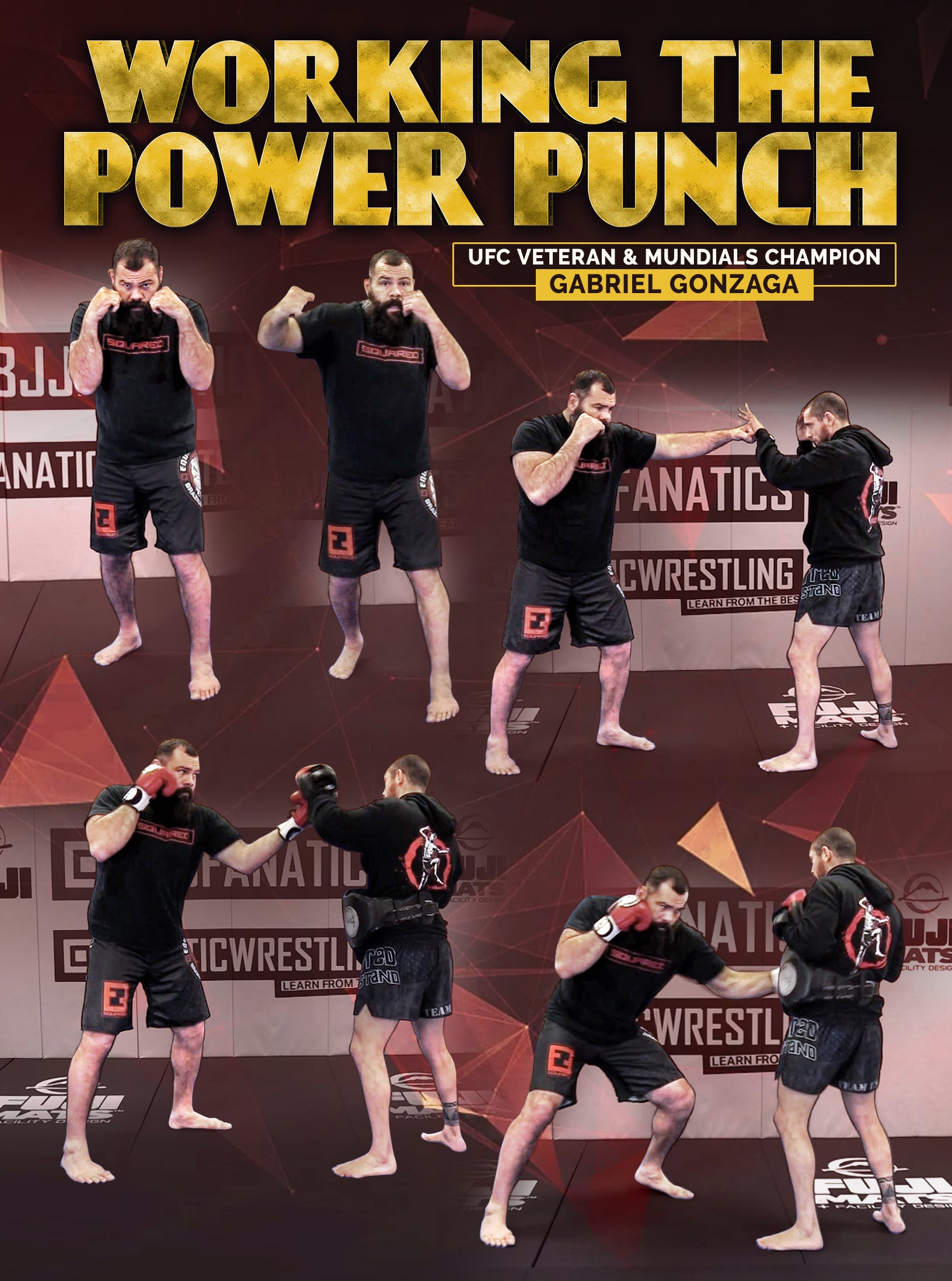 Working The Power Punch by Gabriel Gonzaga image 1