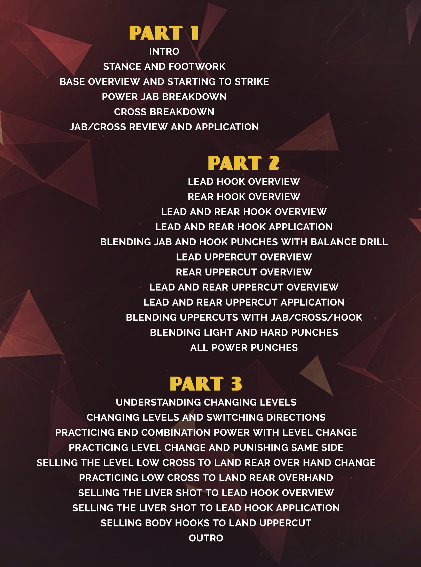 Working The Power Punch by Gabriel Gonzaga image 2