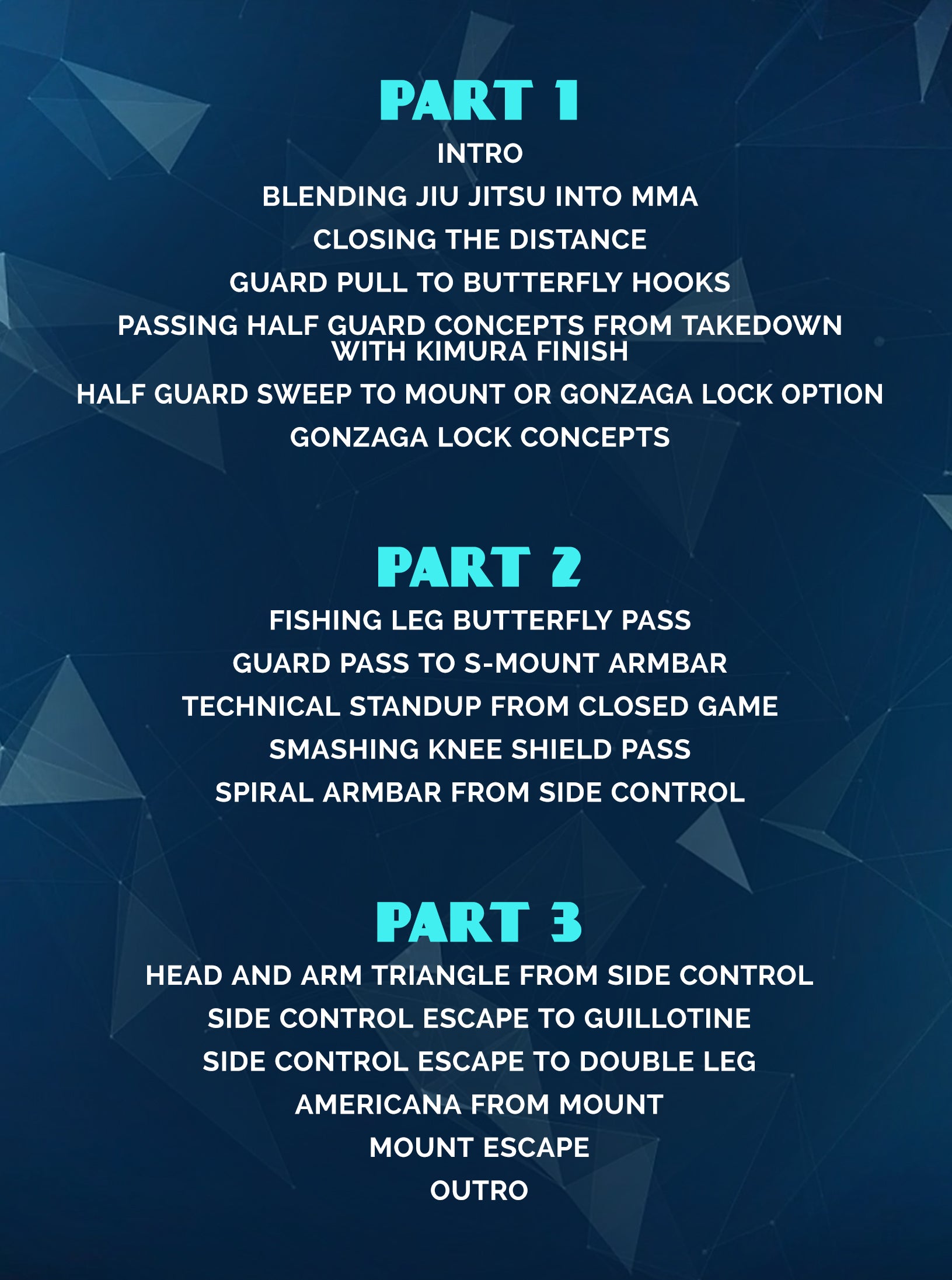 Old School BJJ For MMA by Gabriel Gonzaga image 2