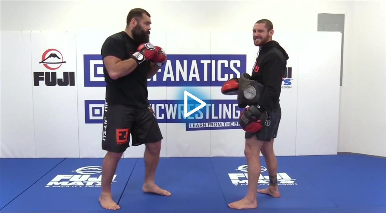 Working The Power Punch by Gabriel Gonzaga image 5