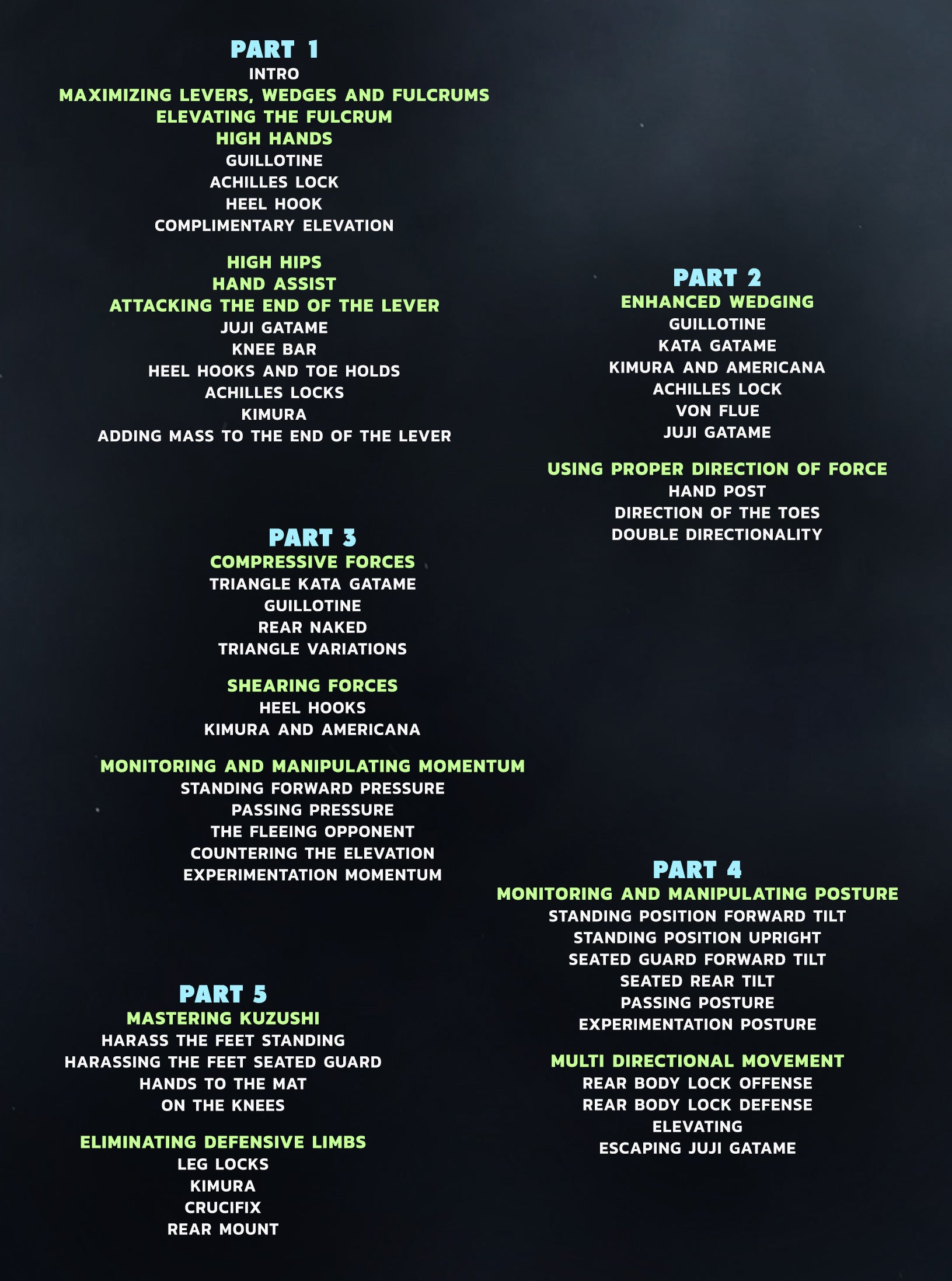 Habits For Highly Effective Jiu-Jitsu by Garry Tonon image 2