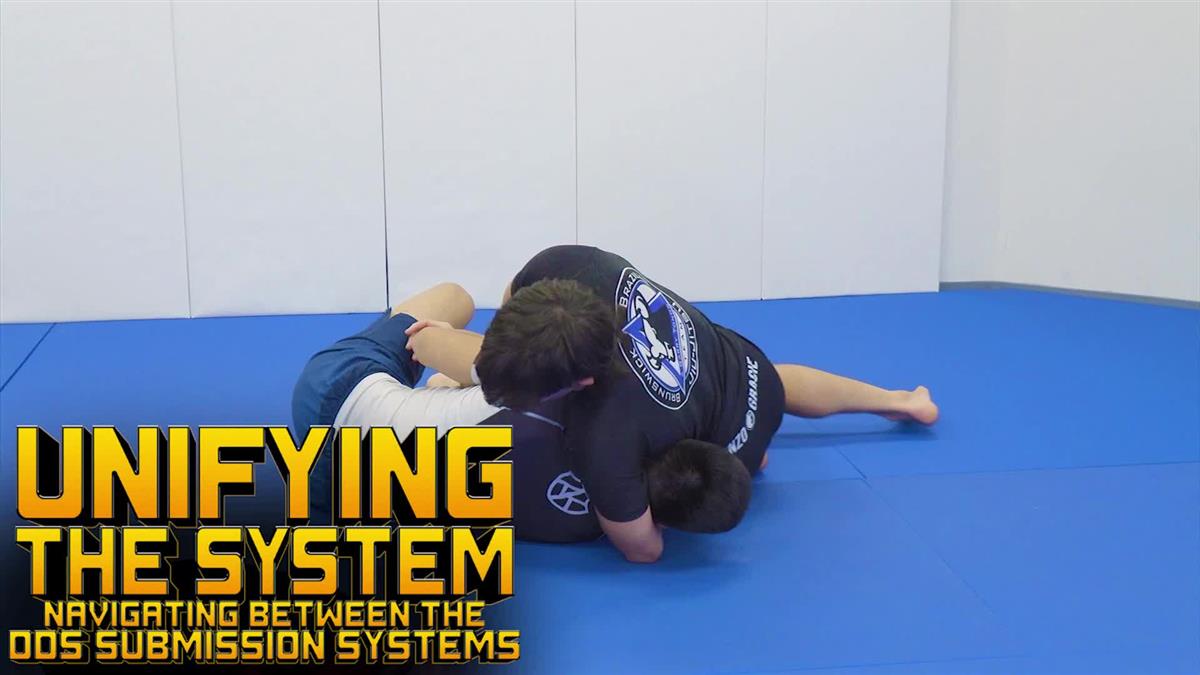 Unifying The Systems: Navigating Between The DDS Submissions Systems by Garry Tonon image 3