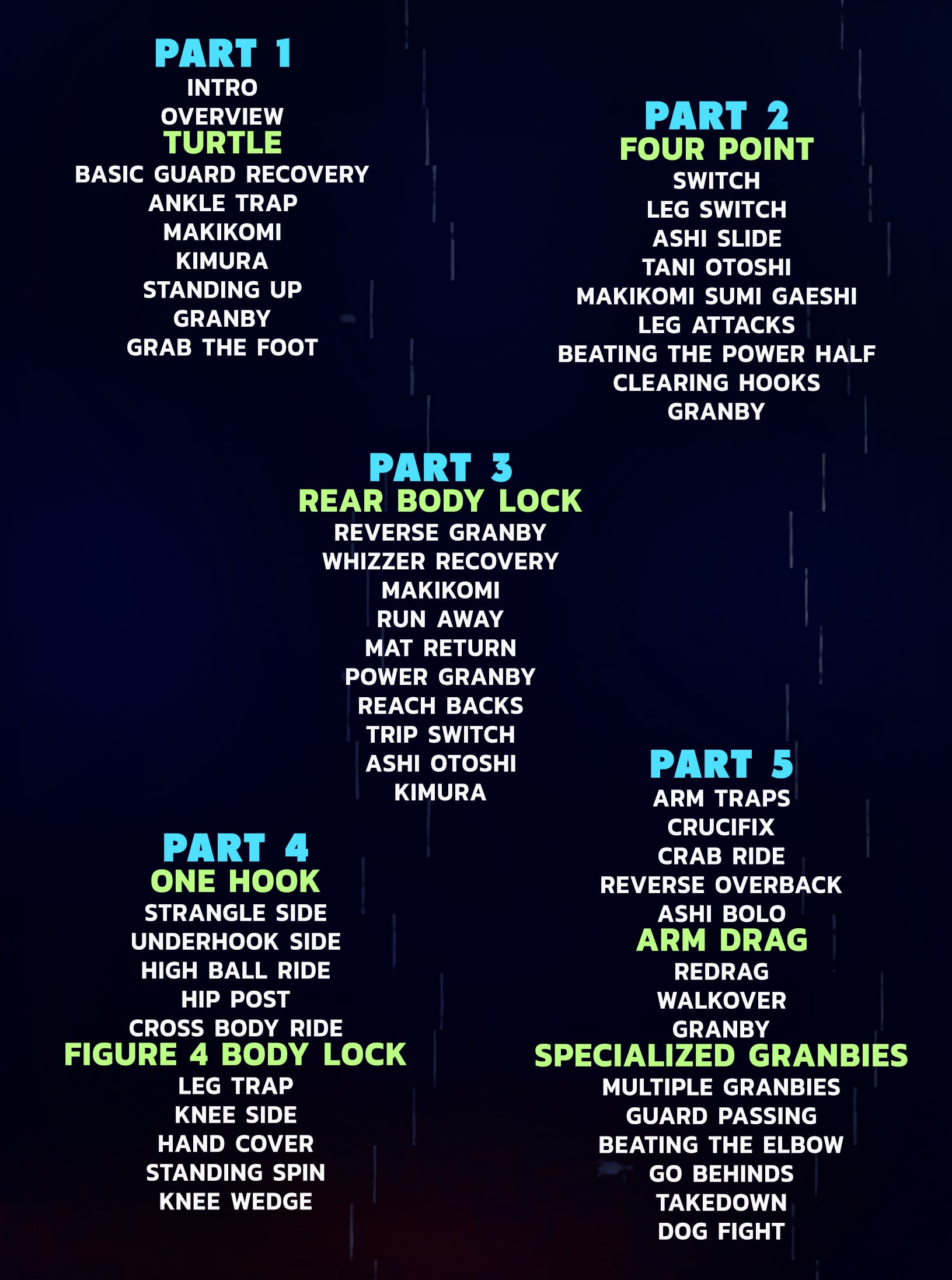 Protect Your Back by Garry Tonon image 2