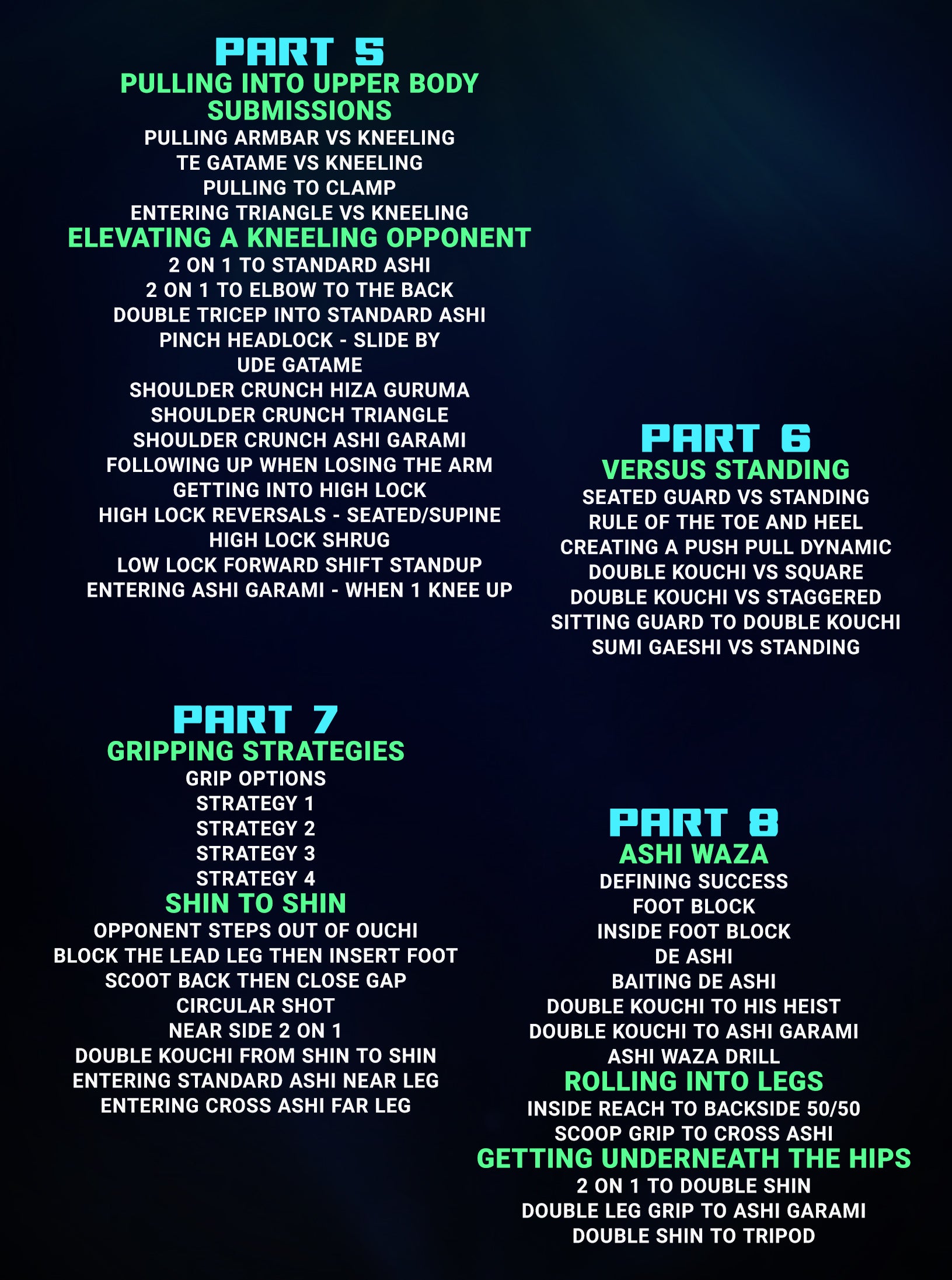 Forging The Guard: Mastering The Foundations of Butterfly Guard by Giancarlo Bodoni image 2