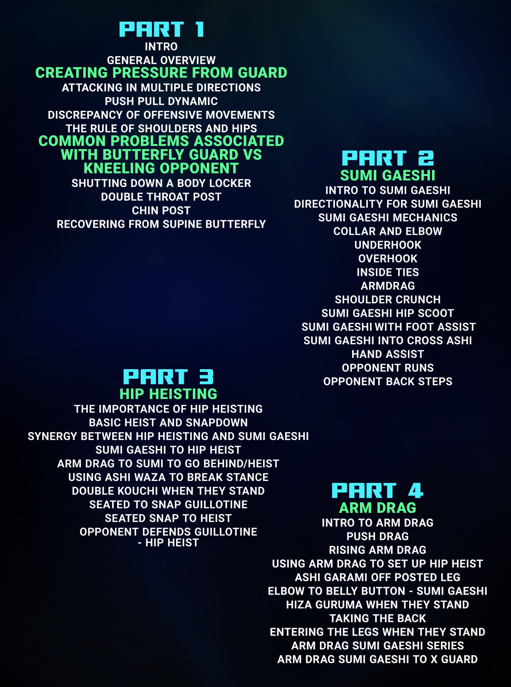 Forging The Guard: Mastering The Foundations of Butterfly Guard by Giancarlo Bodoni image 4