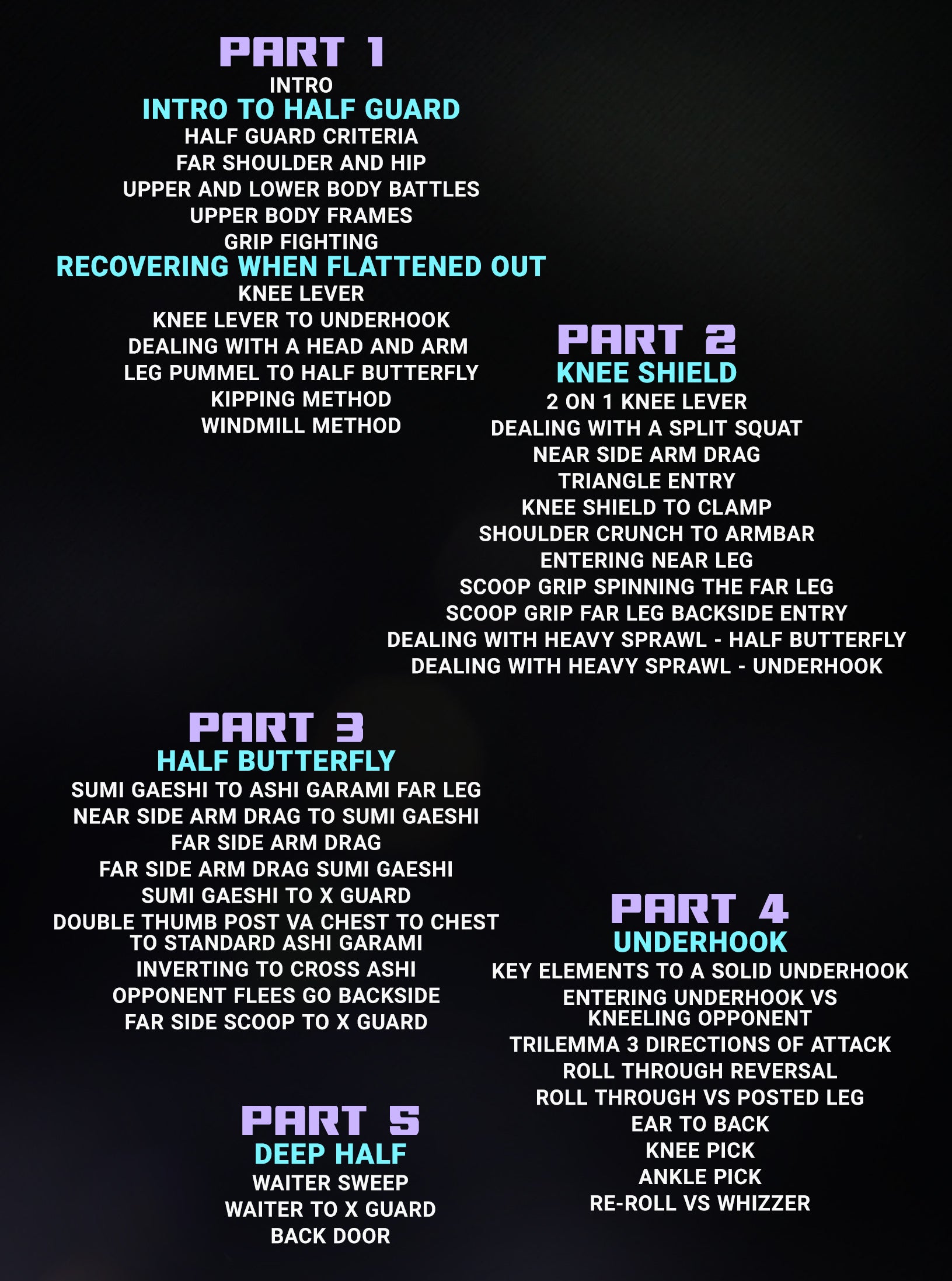 Forging The Guard: Mastering The Foundations of Half Guard by Giancarlo Bodoni image 2