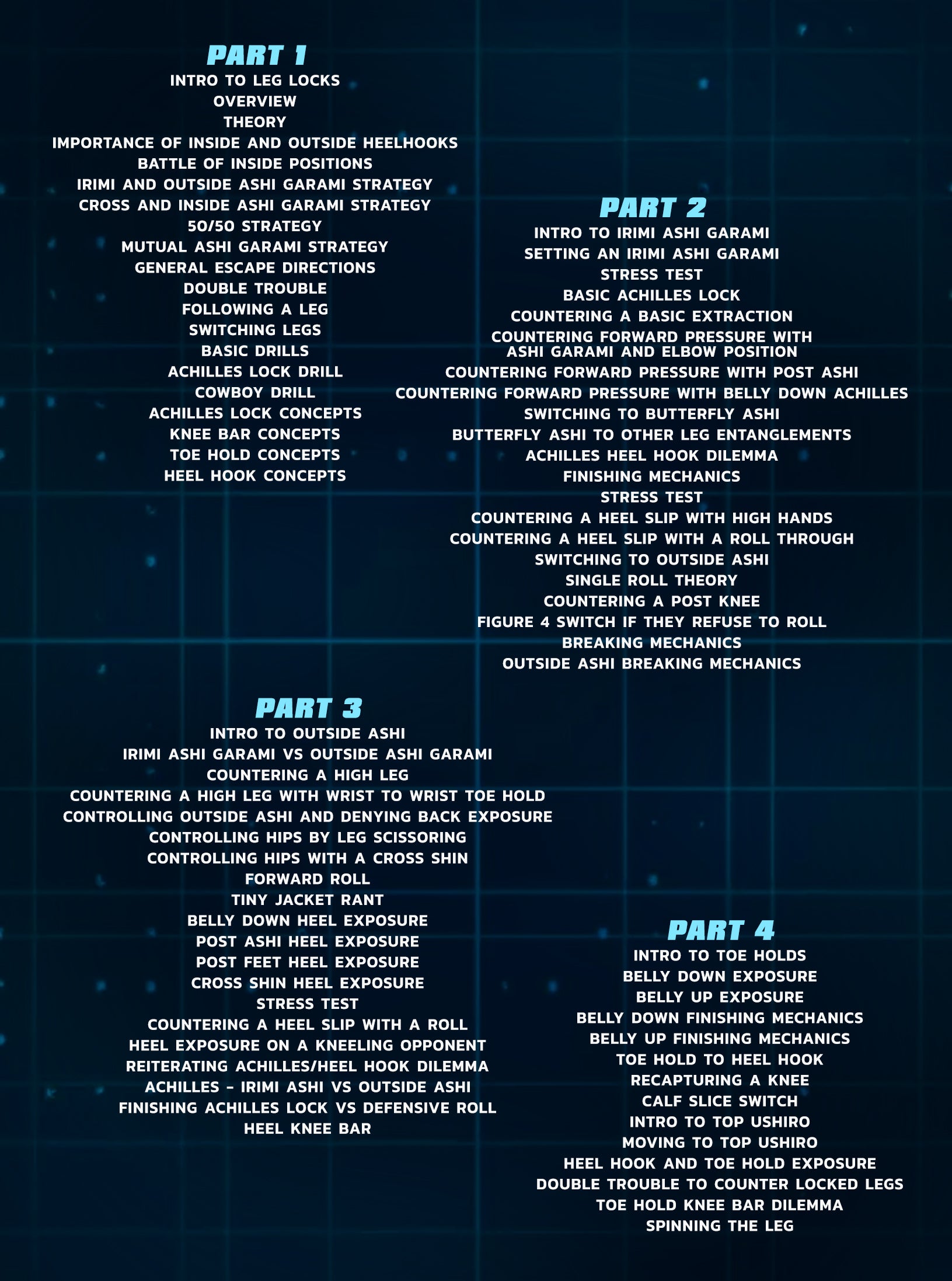 Systematically Attacking The Legs by Gordon Ryan image 2