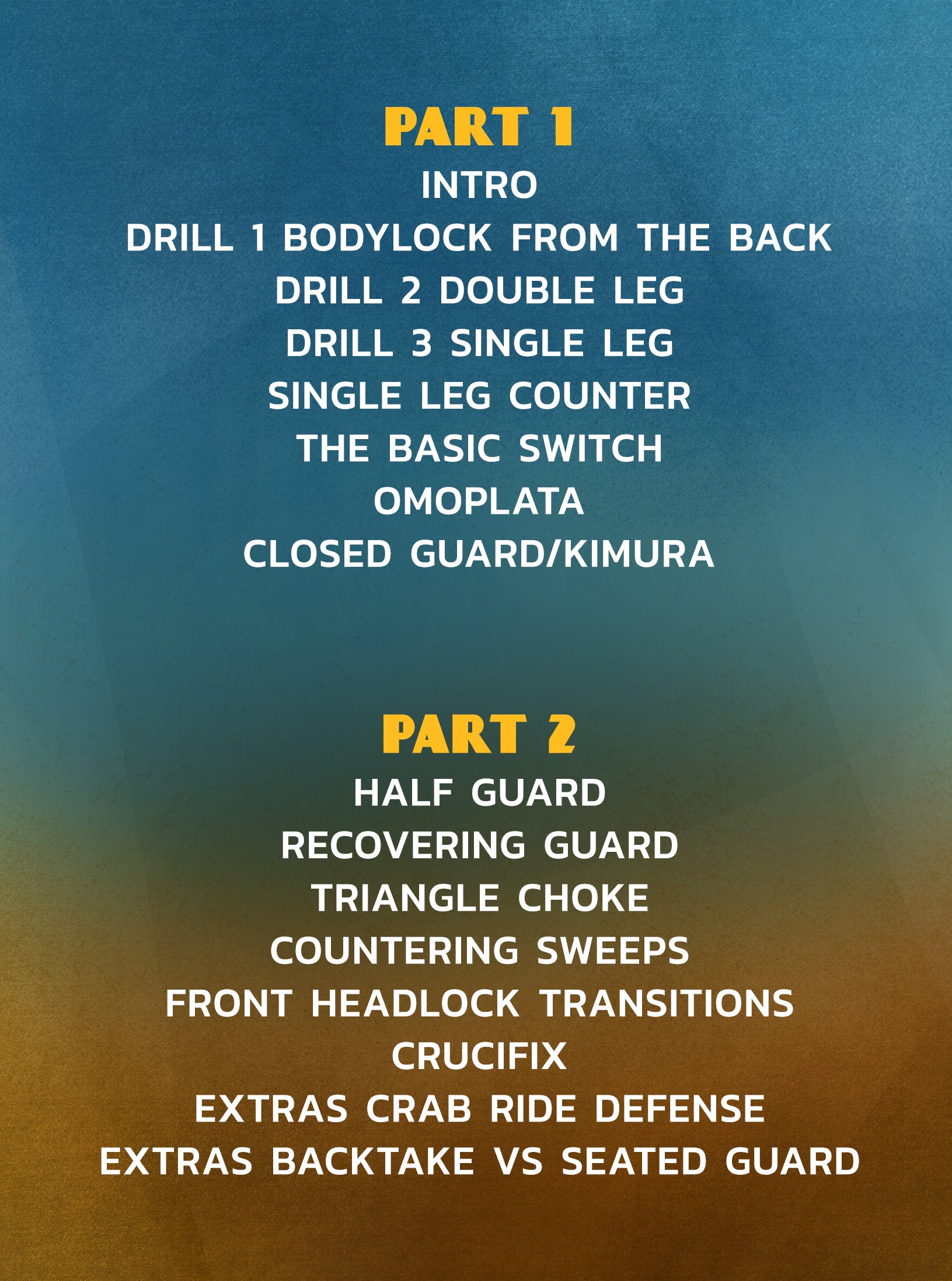 The Switch: Wrestling Applied to BJJ by Dinu Bucalet image 2