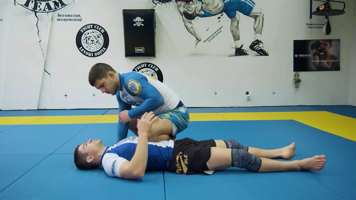 Turtle Concepts & Escapes by Dinu Bucalet image 3