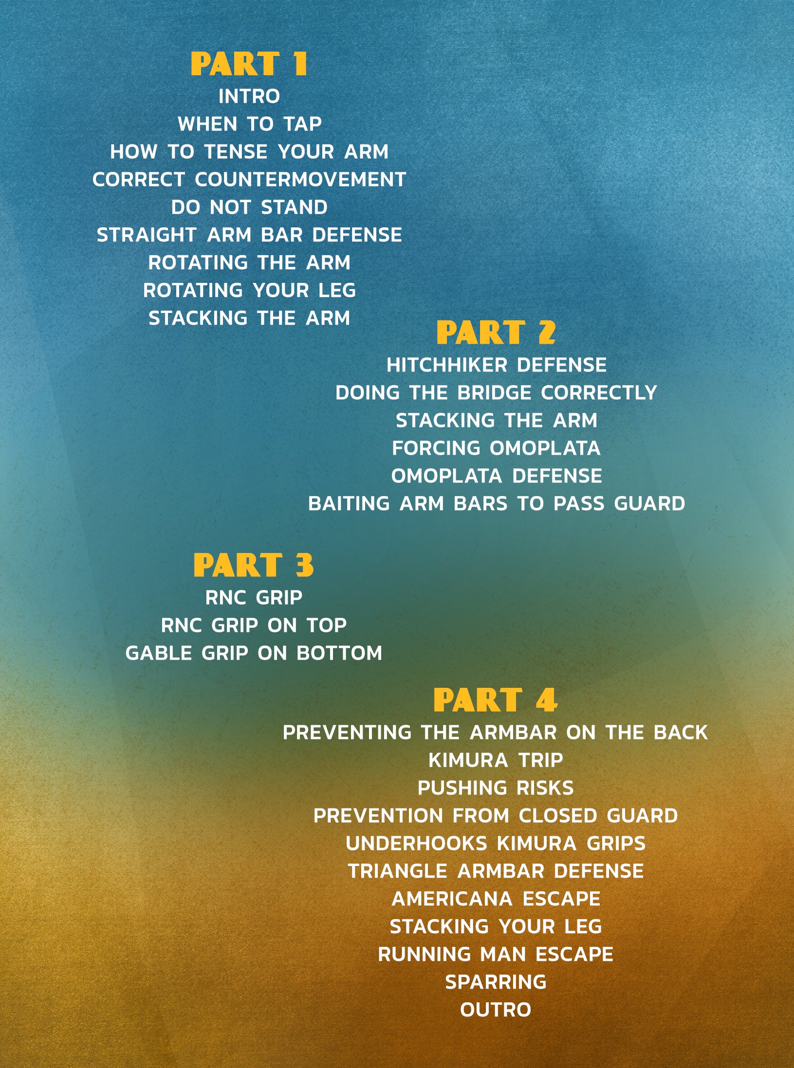 Arm Lock Defense by Dinu Bucalet image 2