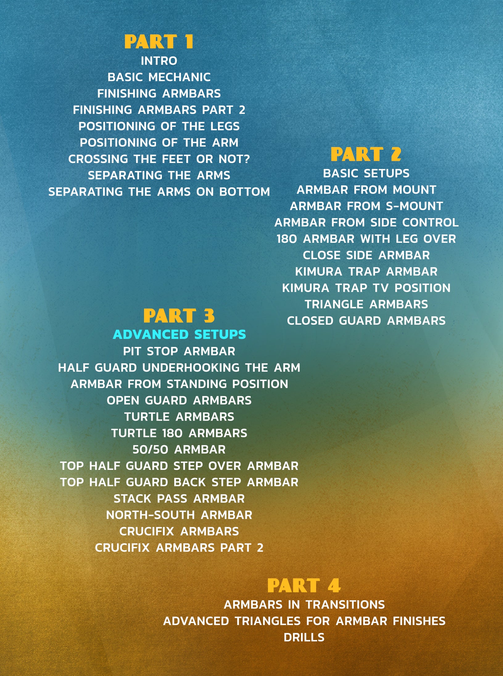 Arm Lock Attacks by Dinu Bucalet image 2