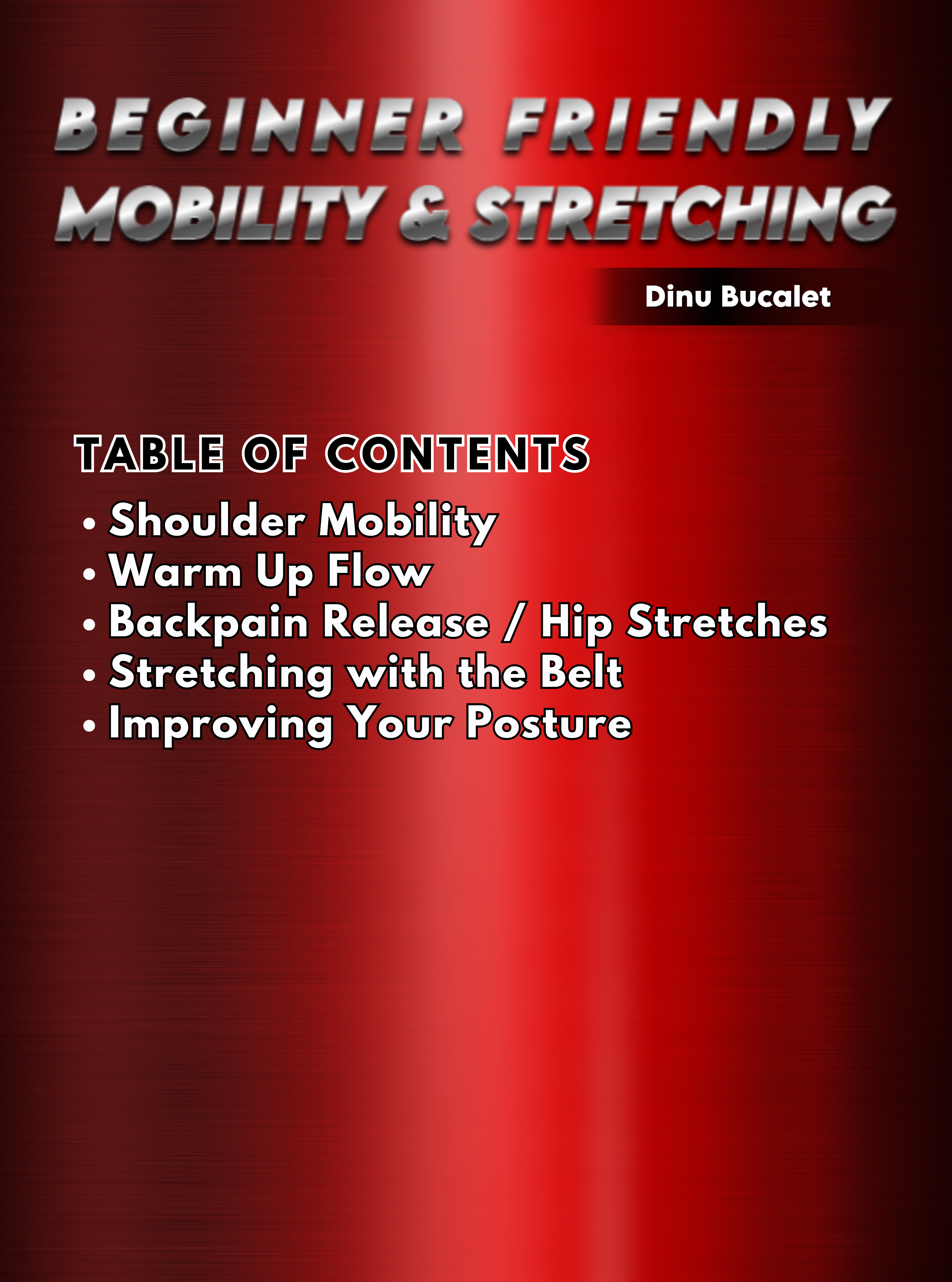 Beginner Friendly Mobility and Stretching by Dinu Bucalet image 1