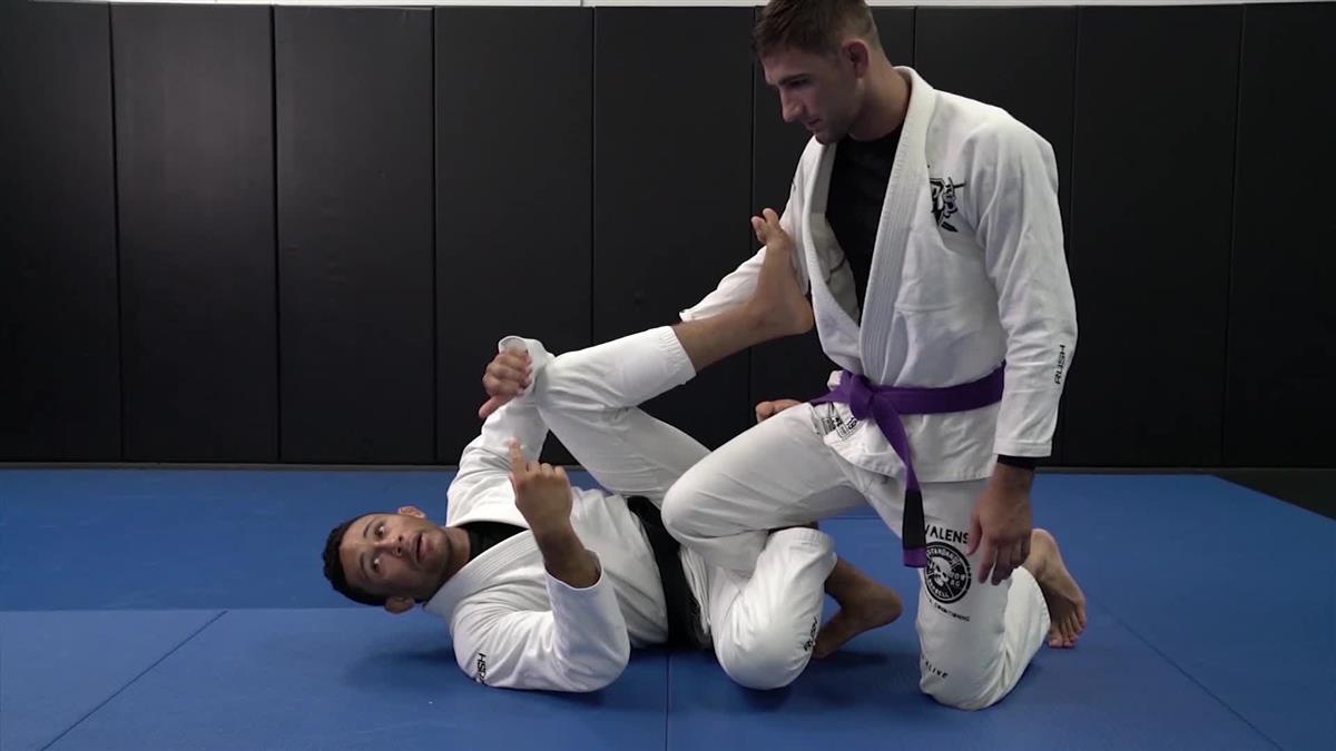 Tarantula Guard by Dominique Bell image 3