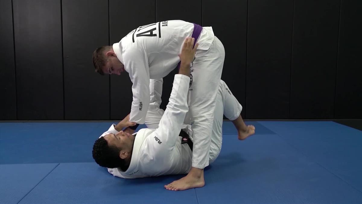 Tarantula Guard by Dominique Bell image 4