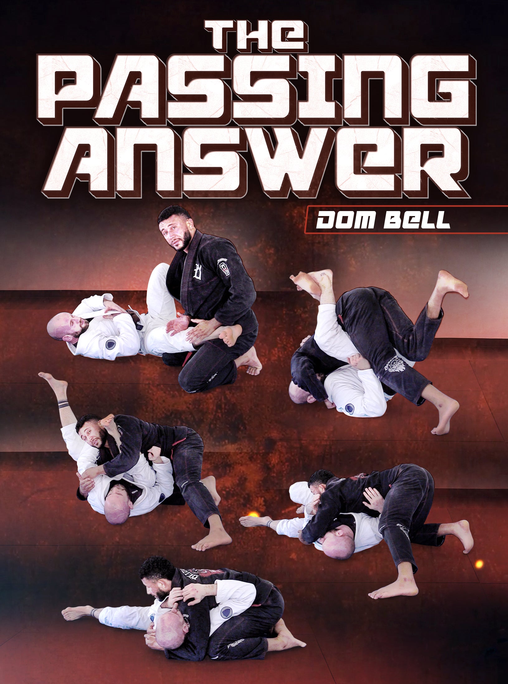 The Passing Answer by Dominique Bell image 1