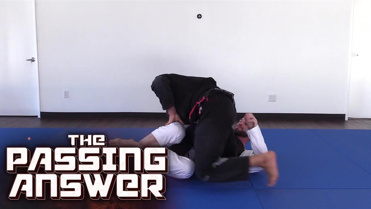 The Passing Answer by Dominique Bell image 3