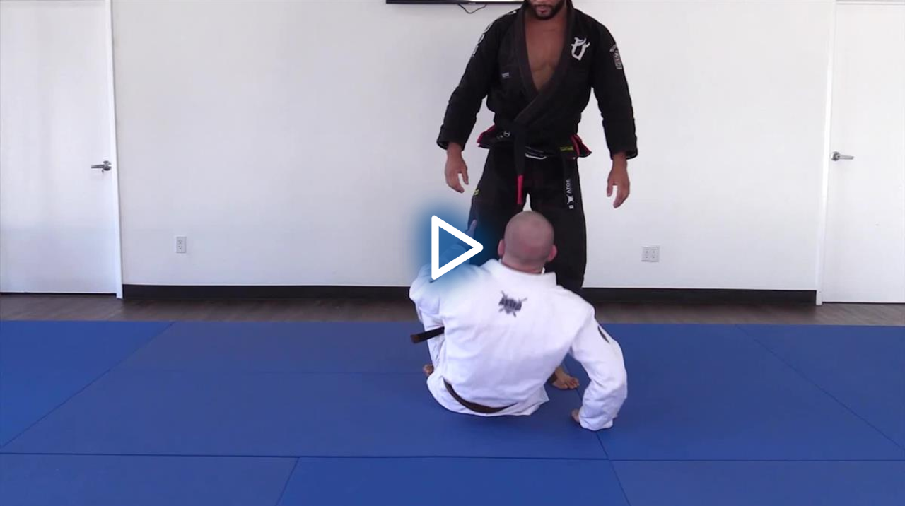 The Passing Answer by Dominique Bell image 4