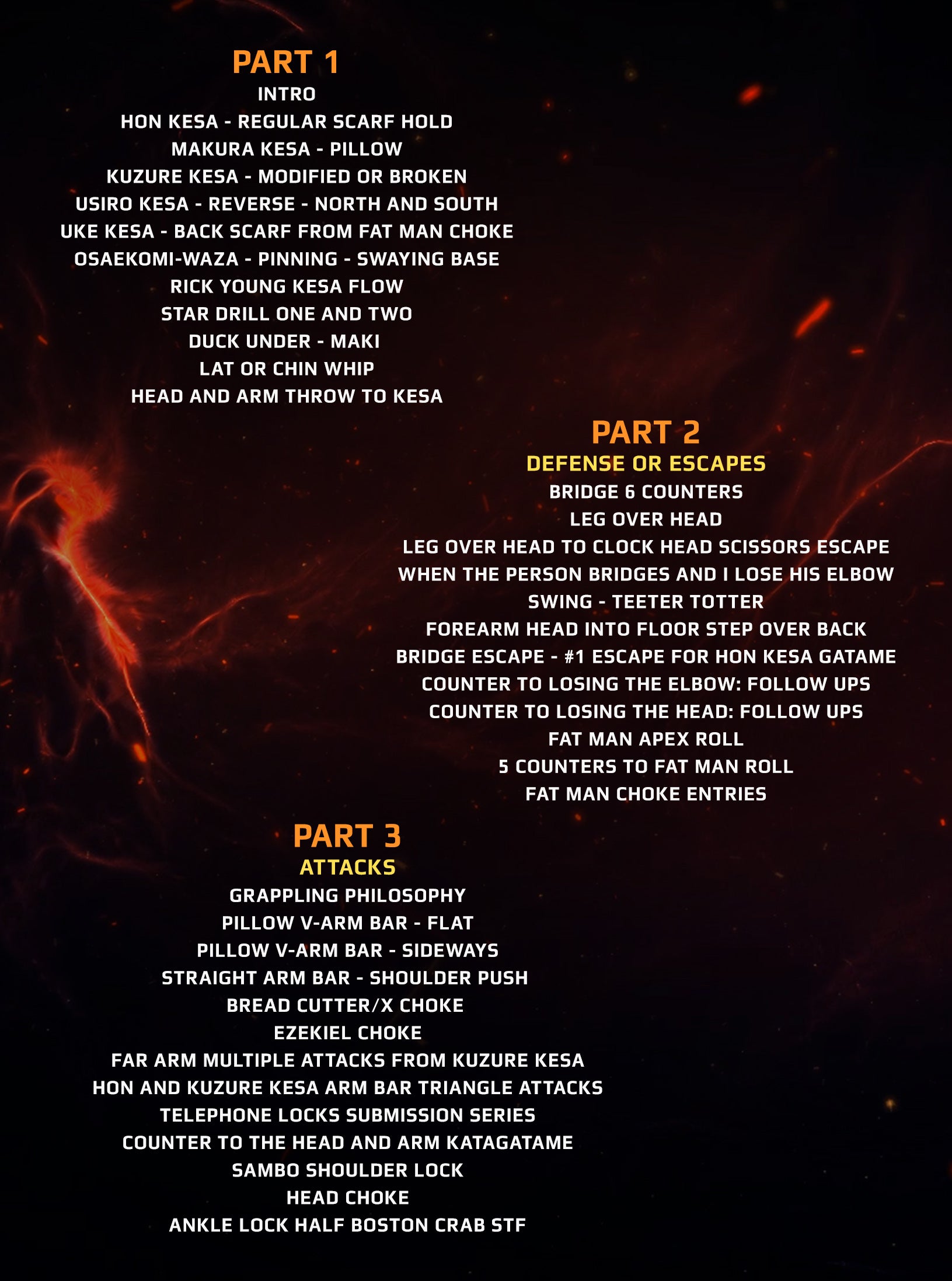 Killer Kesa Gatame by Erik Paulson image 2