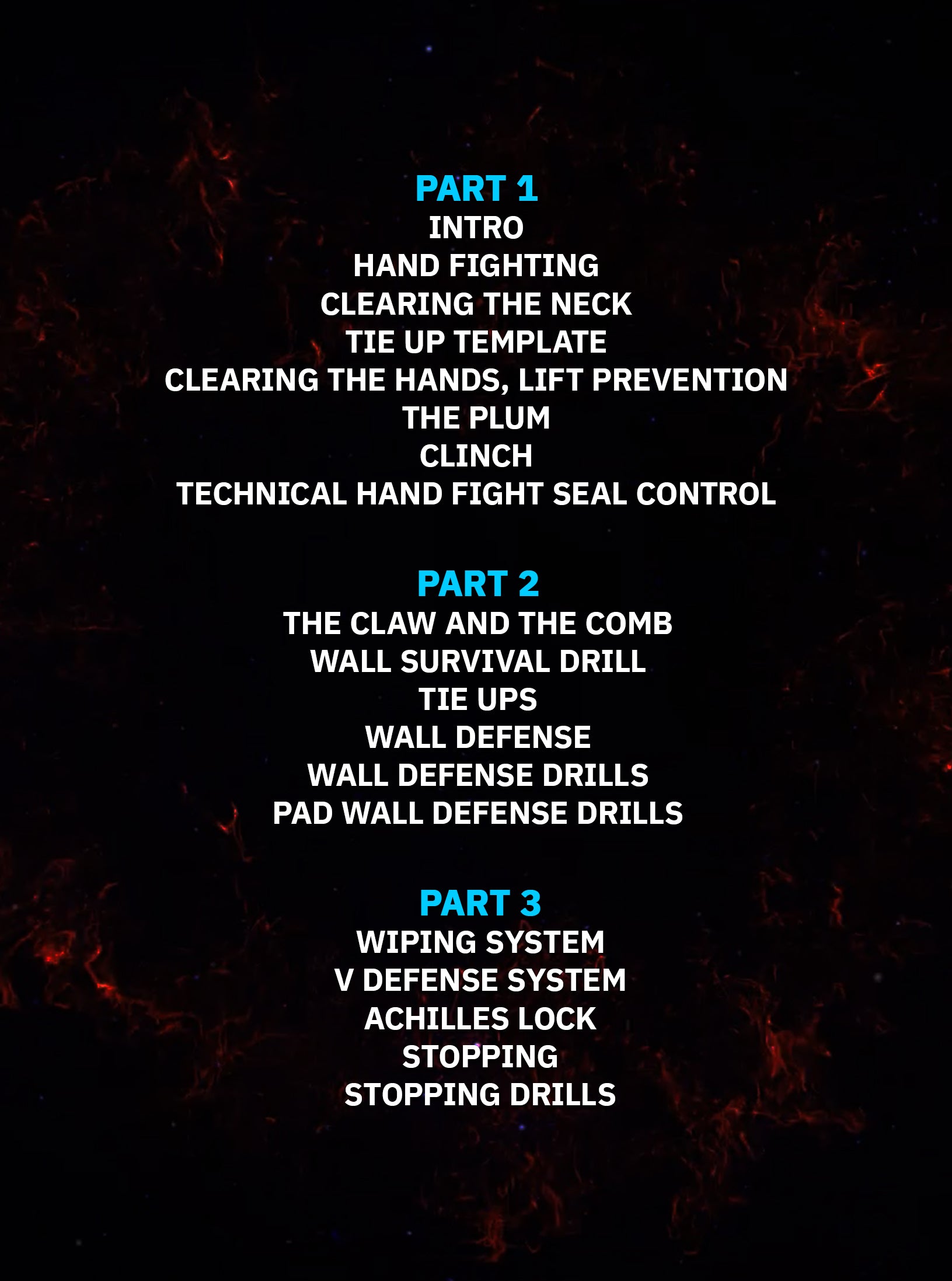 CSW Combatives Self defense by Erik Paulson image 2