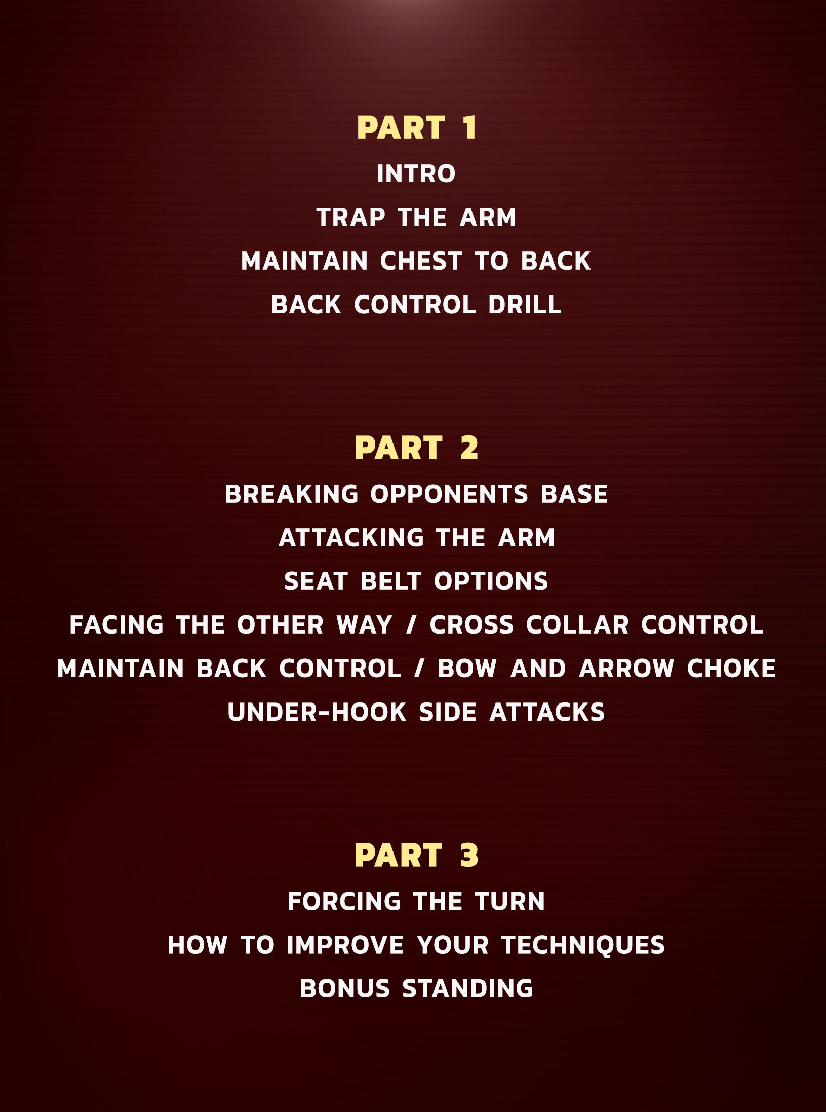 Coral Belt Concepts: Back Control & Attacks by Fabio Gurgel image 2